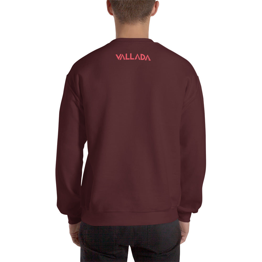 Rückenansicht eines kastanienbraunen Herren-Sweatshirts mit Kapuze von Vallada aus weichem Material.