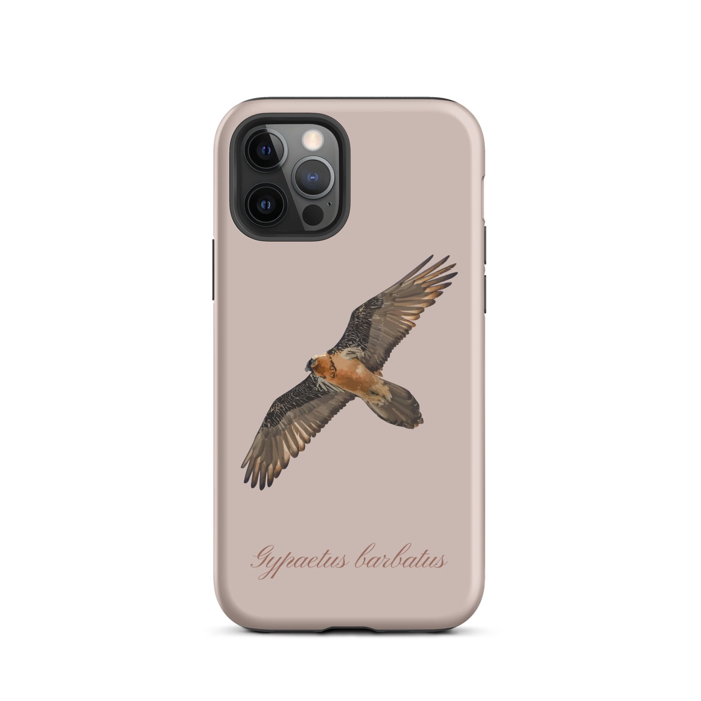 Rosa iPhone-Hülle mit Bartgeier-Motiv, Schutzhülle aus robustem Material für Apple iPhone