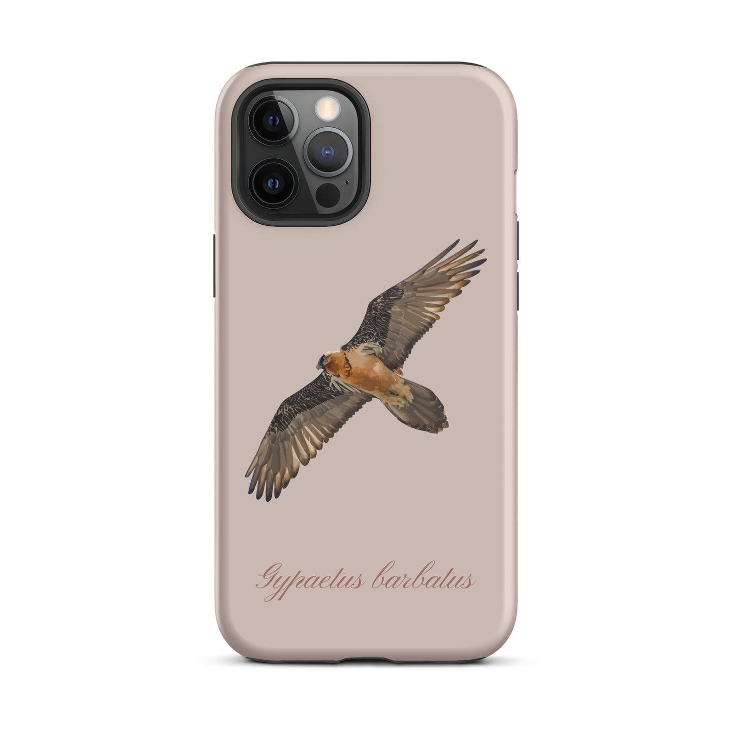 Rosa iPhone-Hülle mit Bartgeier-Motiv aus robustem Kunststoff