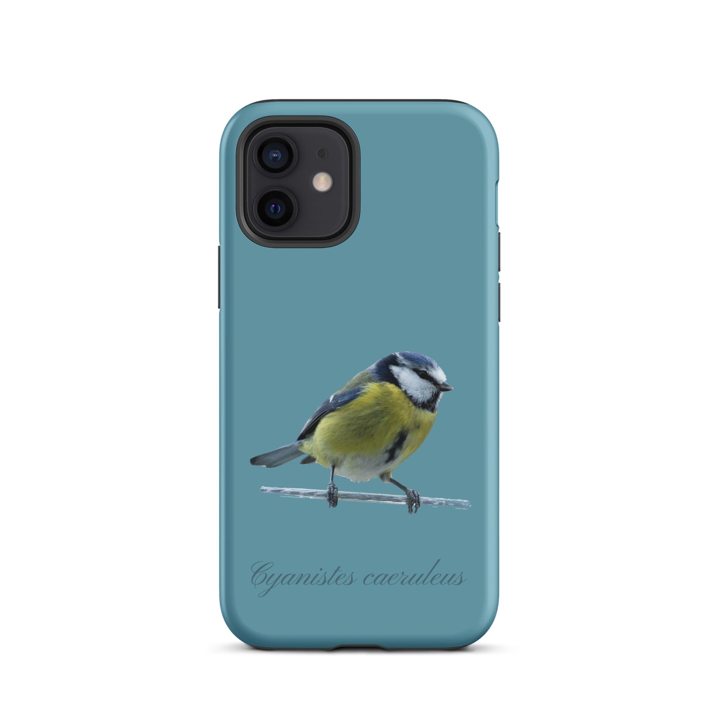 Schutzhülle für Apple iPhone: iPhone Case - Blaumeise - Gletscherwasserblau