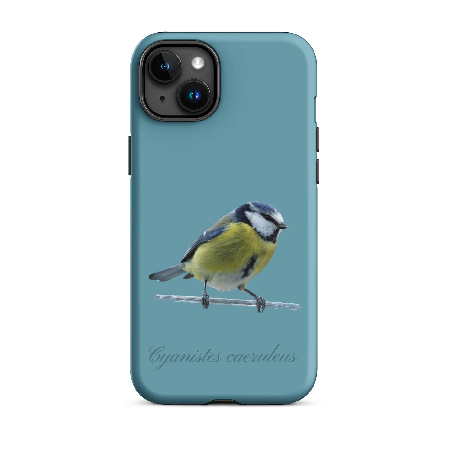 Schutzhülle für Apple iPhone: iPhone Case - Blaumeise - Gletscherwasserblau