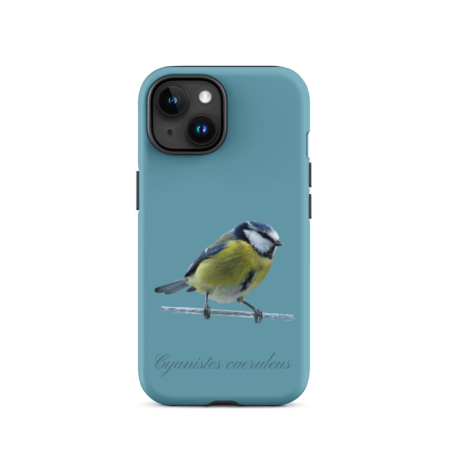 Schutzhülle für Apple iPhone: iPhone Case - Blaumeise - Gletscherwasserblau