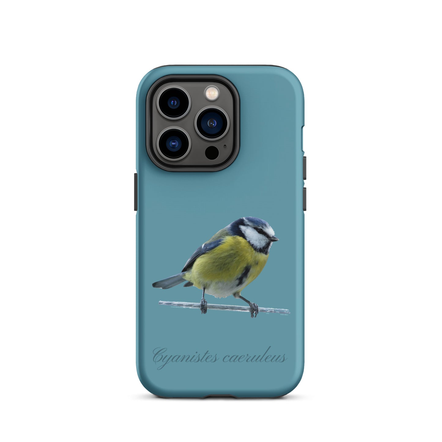 Schutzhülle für Apple iPhone: iPhone Case - Blaumeise - Gletscherwasserblau