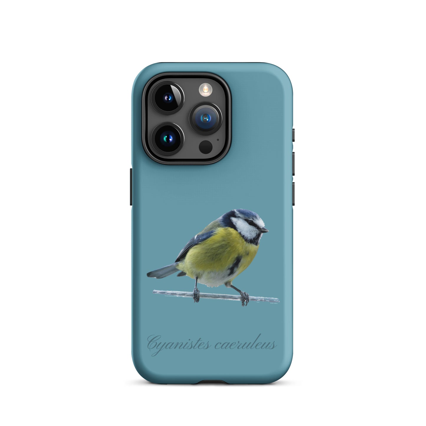 Schutzhülle für Apple iPhone: iPhone Case - Blaumeise - Gletscherwasserblau