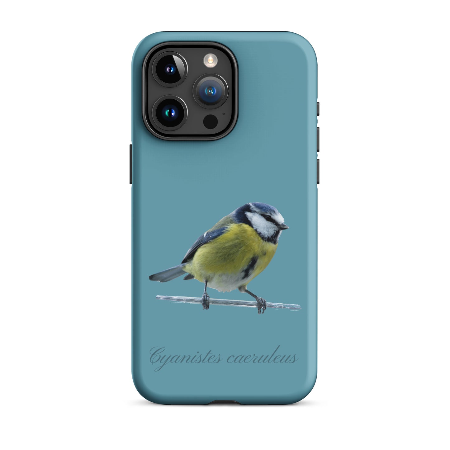 Schutzhülle für Apple iPhone: iPhone Case - Blaumeise - Gletscherwasserblau