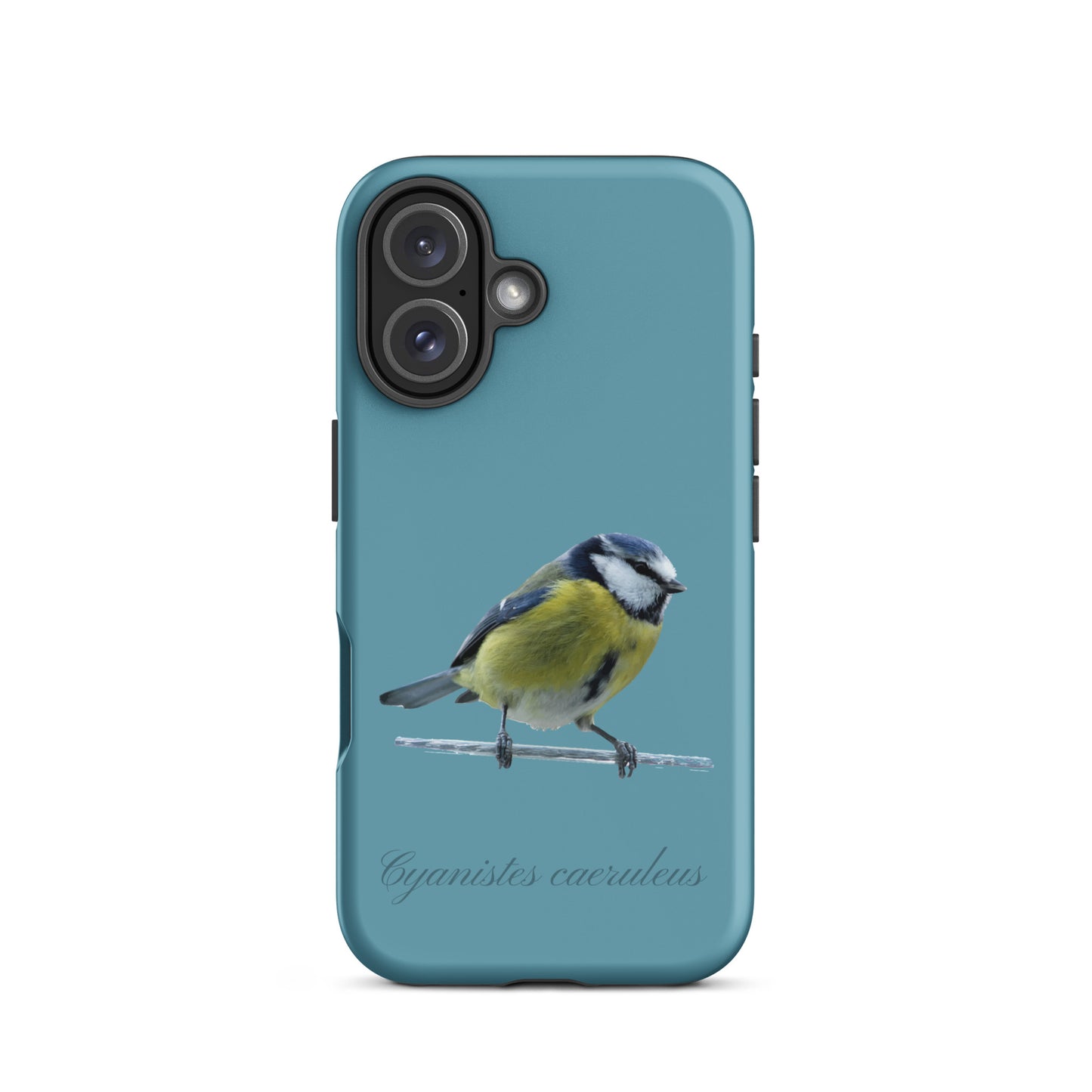 Schutzhülle für Apple iPhone: iPhone Case - Blaumeise - Gletscherwasserblau