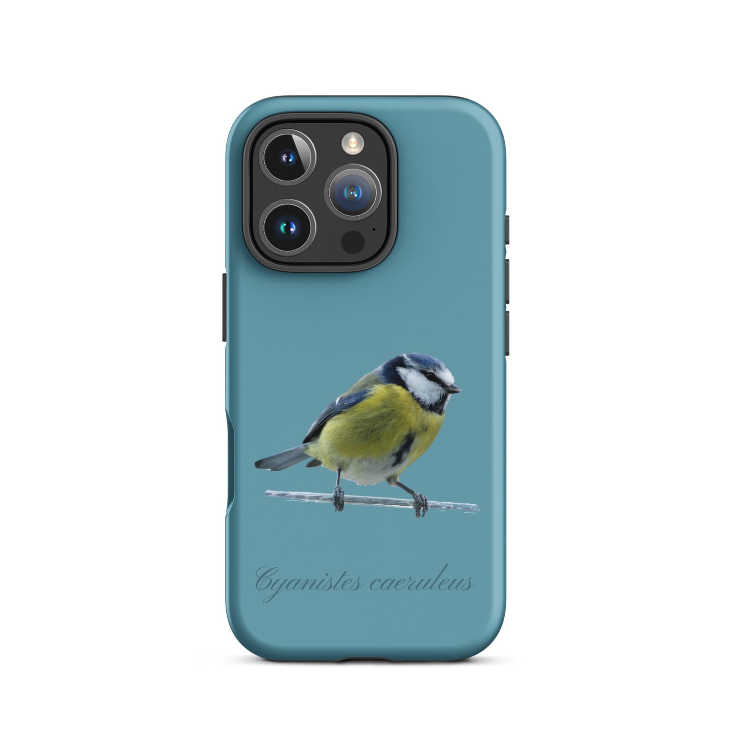 Schutzhülle für Apple iPhone: iPhone Case - Blaumeise - Gletscherwasserblau