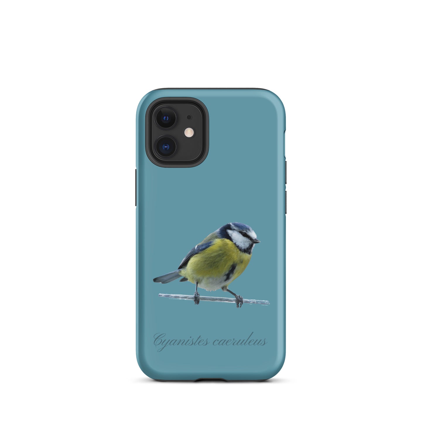 Schutzhülle für Apple iPhone: iPhone Case - Blaumeise - Gletscherwasserblau