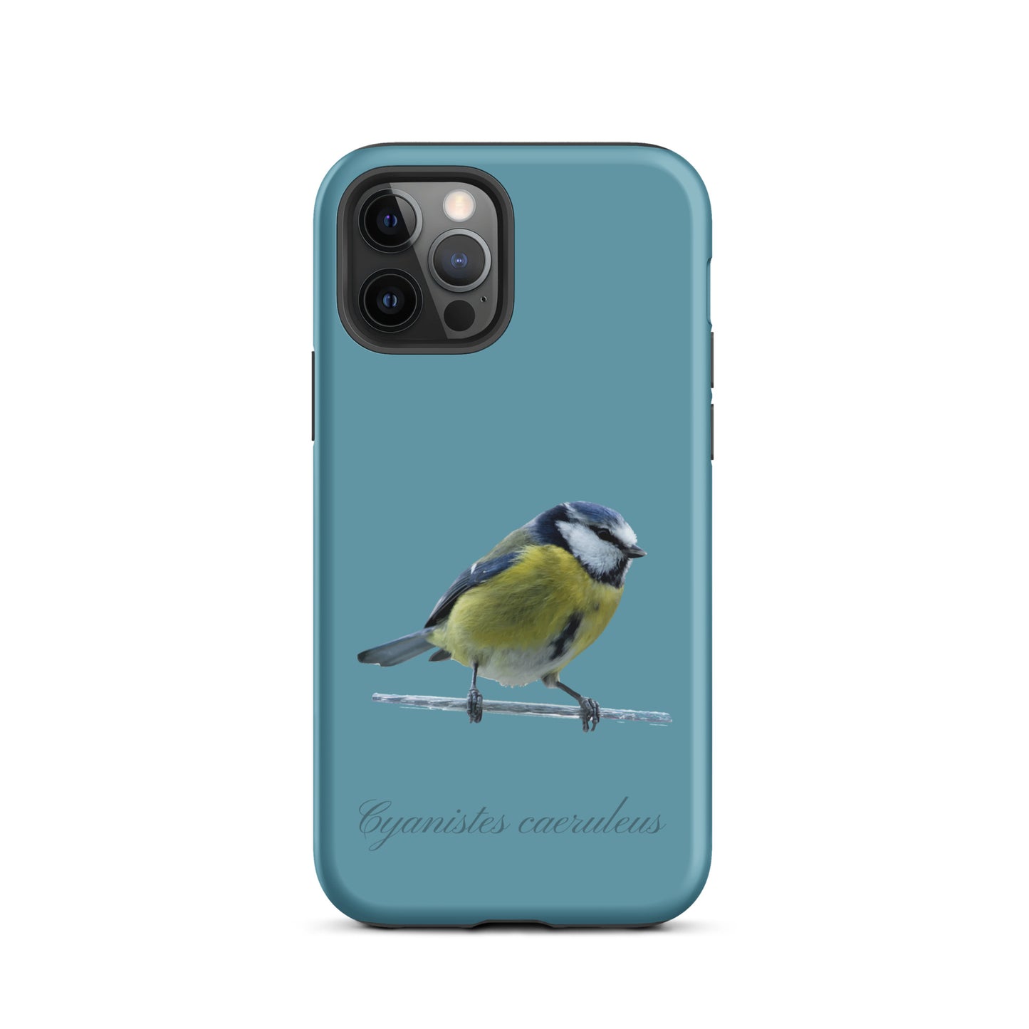 Schutzhülle für Apple iPhone: iPhone Case - Blaumeise - Gletscherwasserblau
