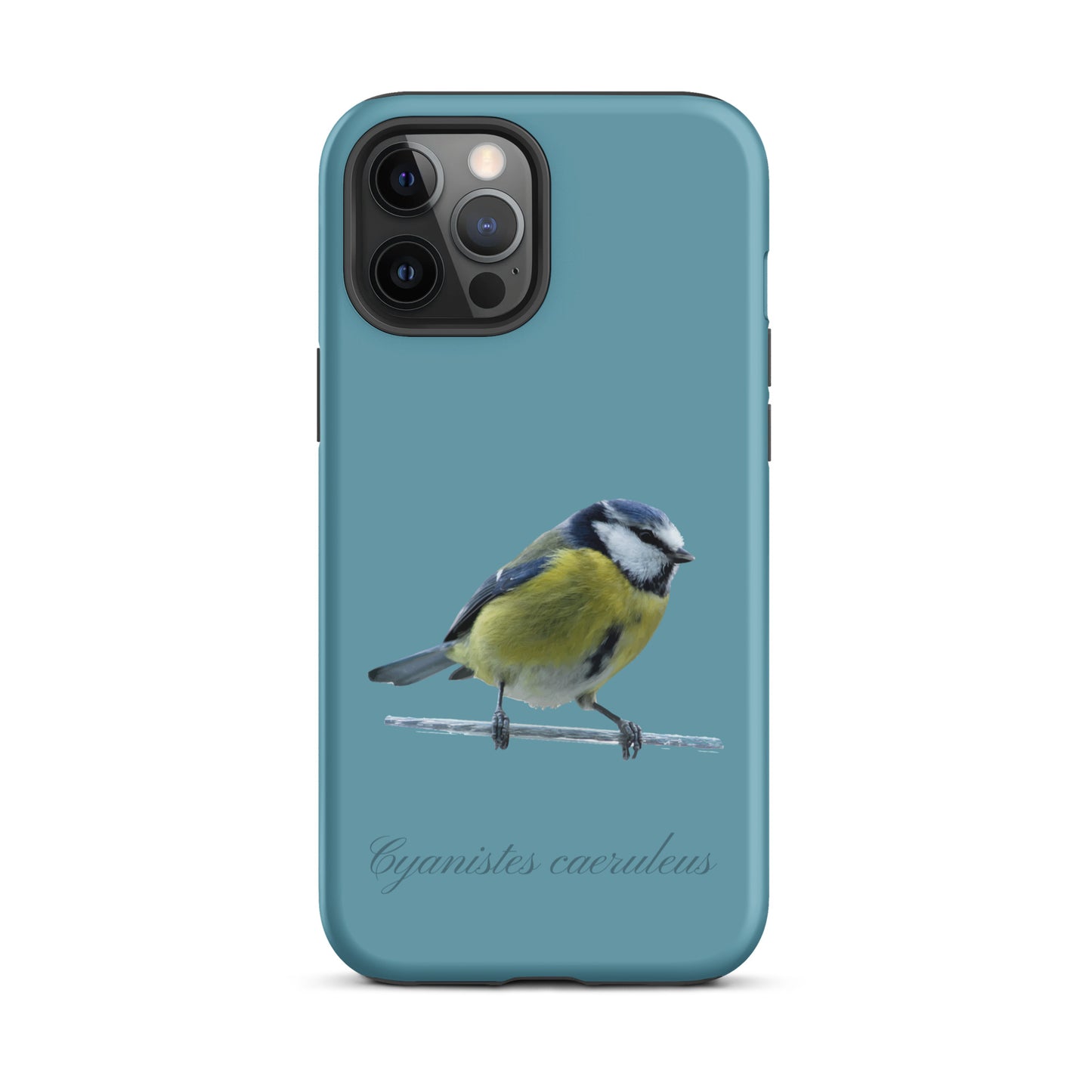 Schutzhülle für Apple iPhone: iPhone Case - Blaumeise - Gletscherwasserblau