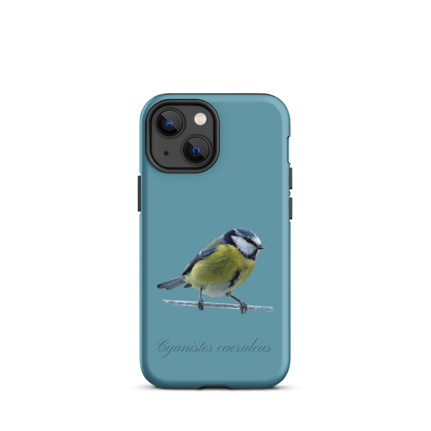 Schutzhülle für Apple iPhone: iPhone Case - Blaumeise - Gletscherwasserblau