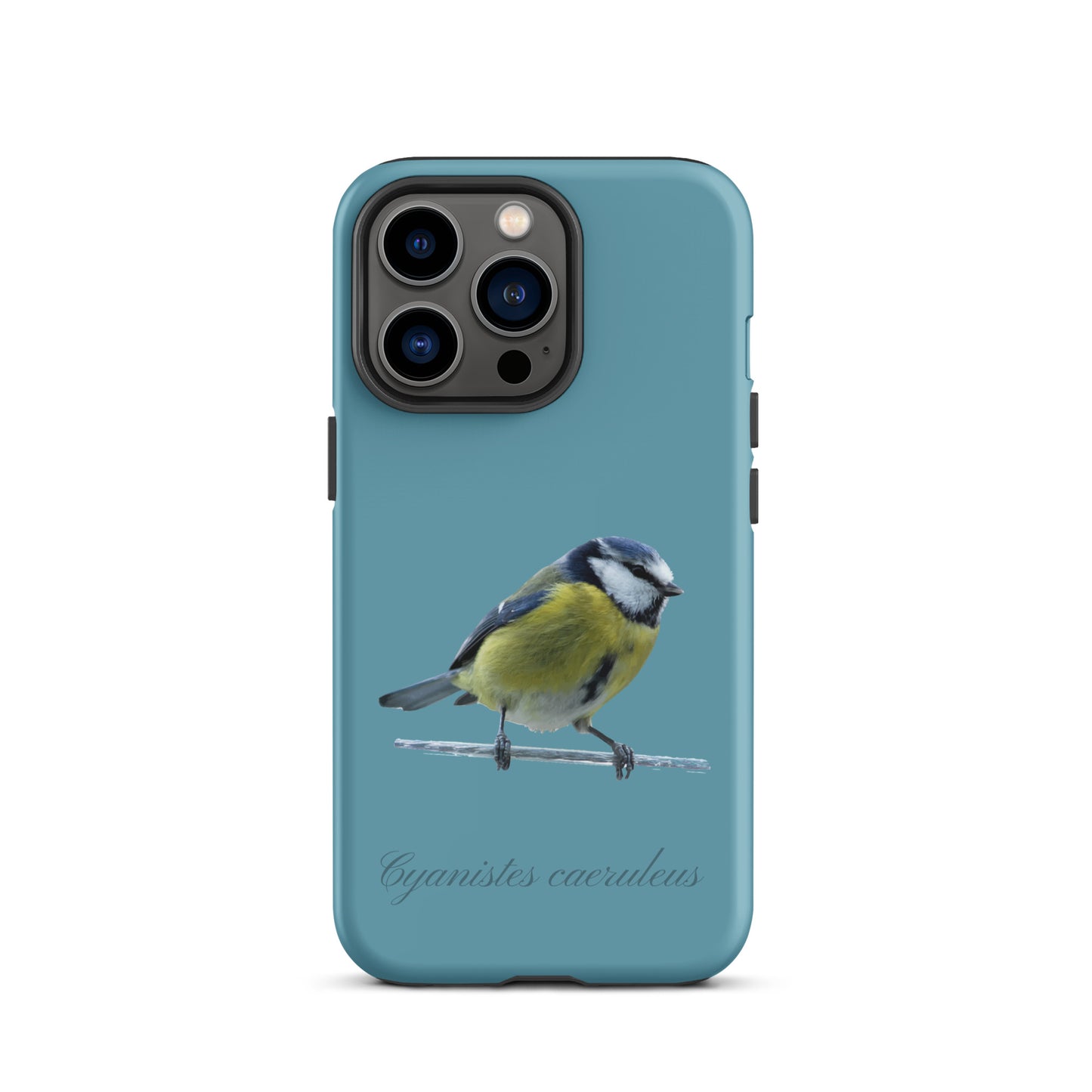 Schutzhülle für Apple iPhone: iPhone Case - Blaumeise - Gletscherwasserblau