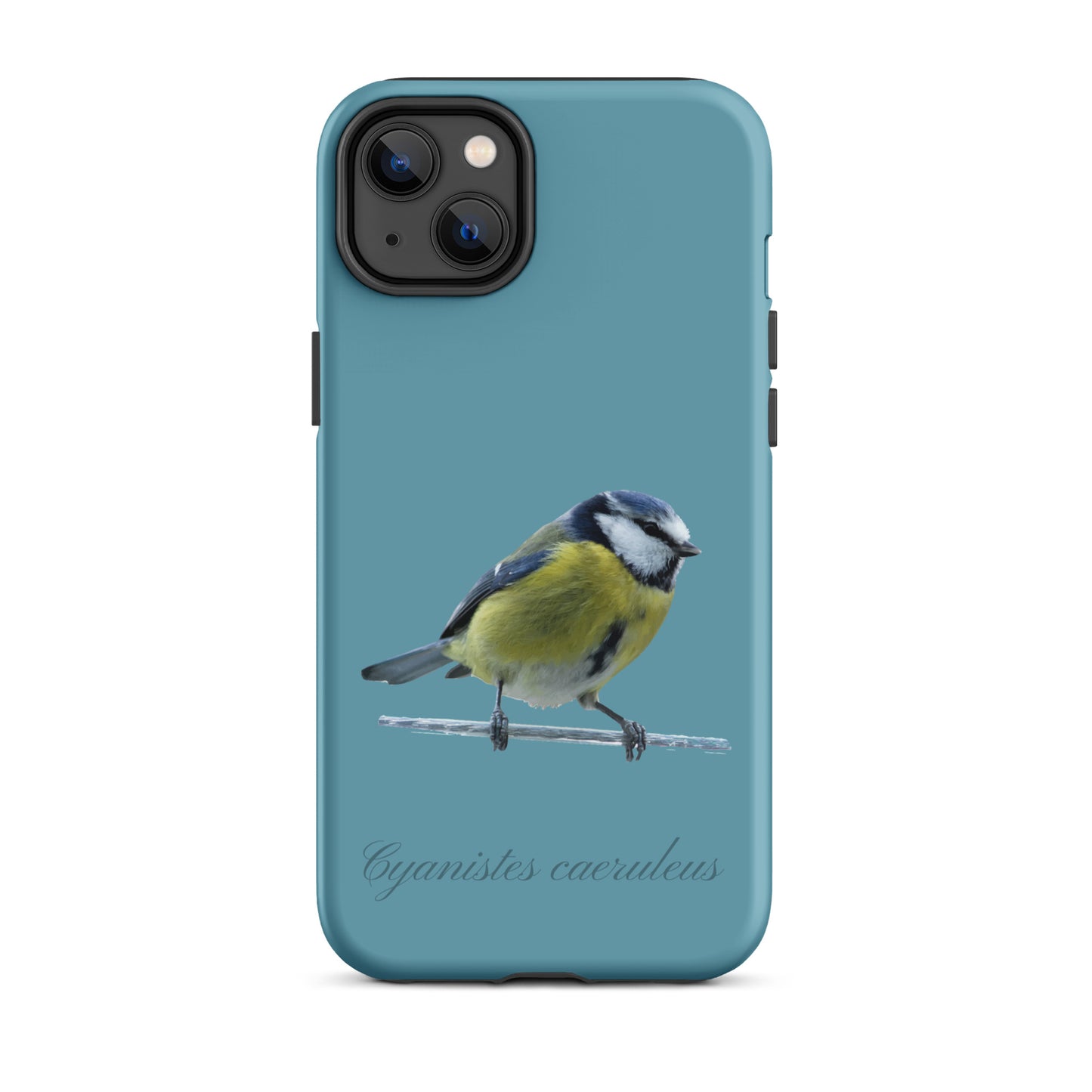 Schutzhülle für Apple iPhone: iPhone Case - Blaumeise - Gletscherwasserblau