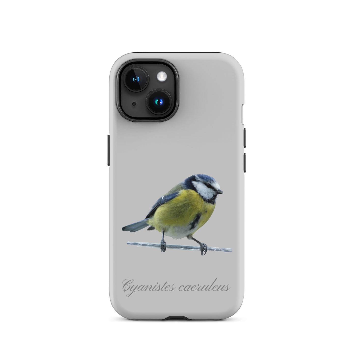 Schutzhülle für Apple iPhone: iPhone Case - Blaumeise - Grau