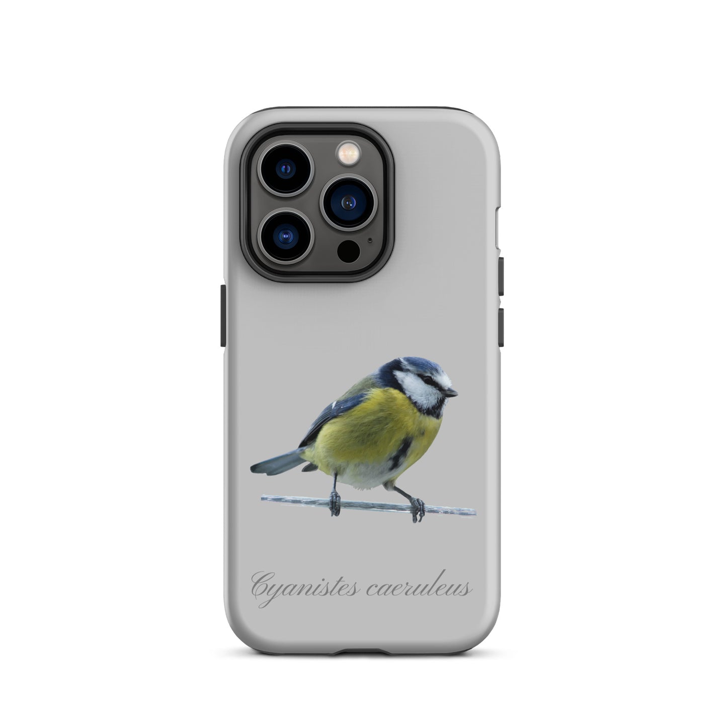Schutzhülle für Apple iPhone: iPhone Case - Blaumeise - Grau