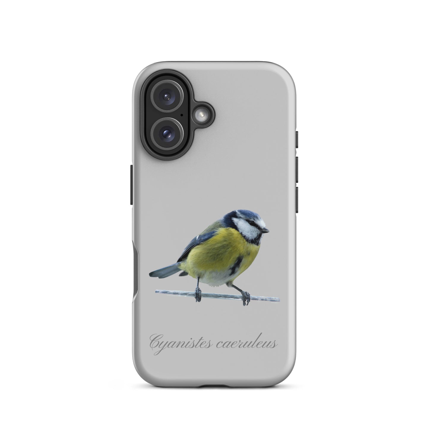 Schutzhülle für Apple iPhone: iPhone Case - Blaumeise - Grau