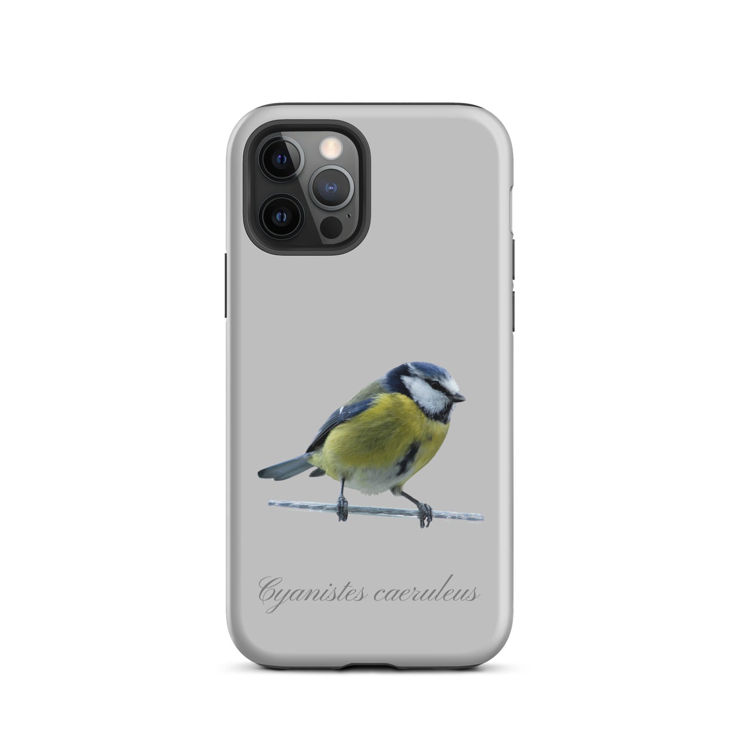 Schutzhülle für Apple iPhone: iPhone Case - Blaumeise - Grau