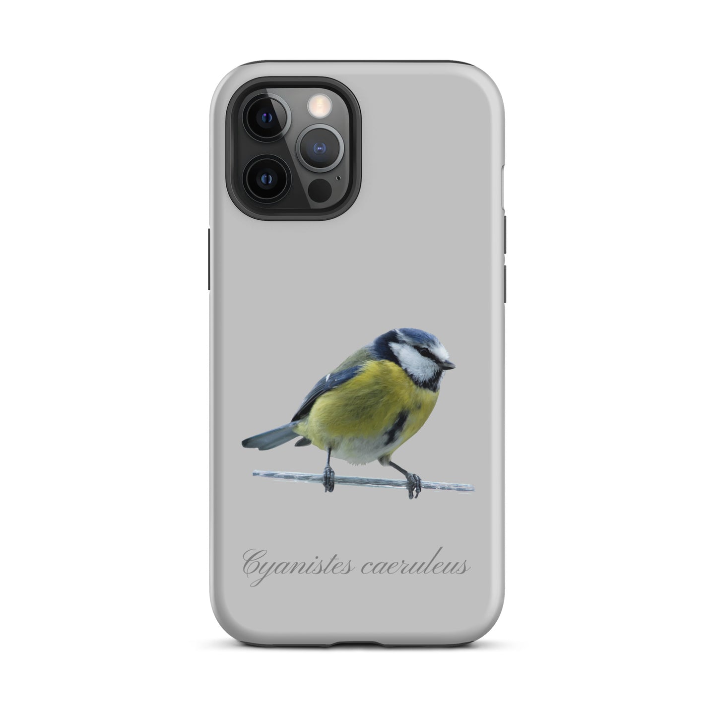 Schutzhülle für Apple iPhone: iPhone Case - Blaumeise - Grau