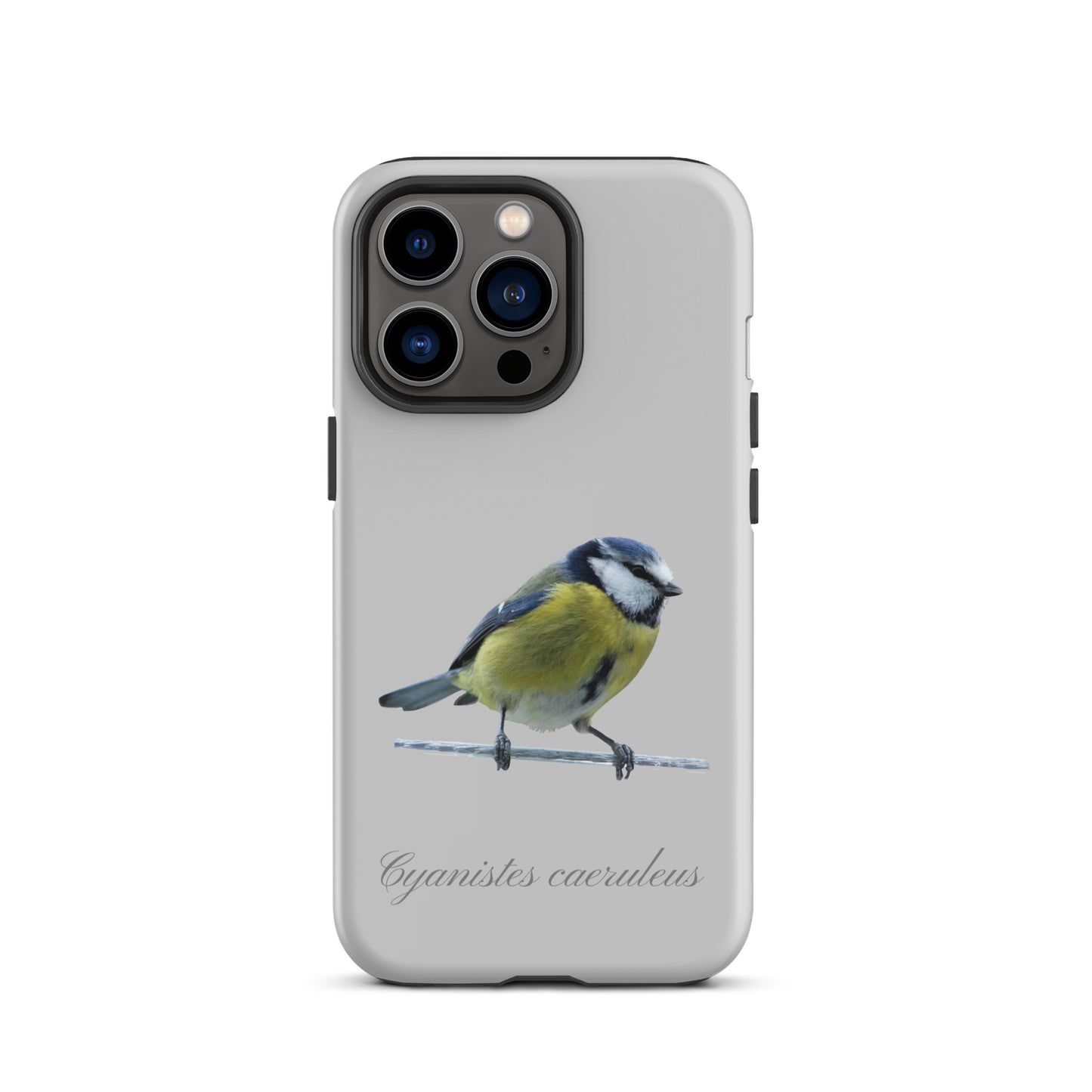 Schutzhülle für Apple iPhone: iPhone Case - Blaumeise - Grau