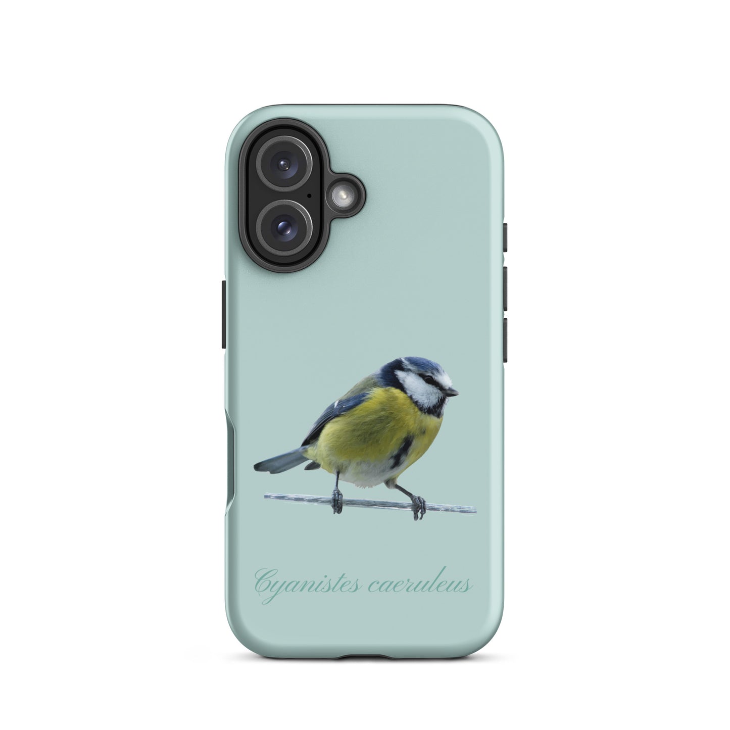 Schutzhülle für Apple iPhone: iPhone Case - Blaumeise - Hellblau