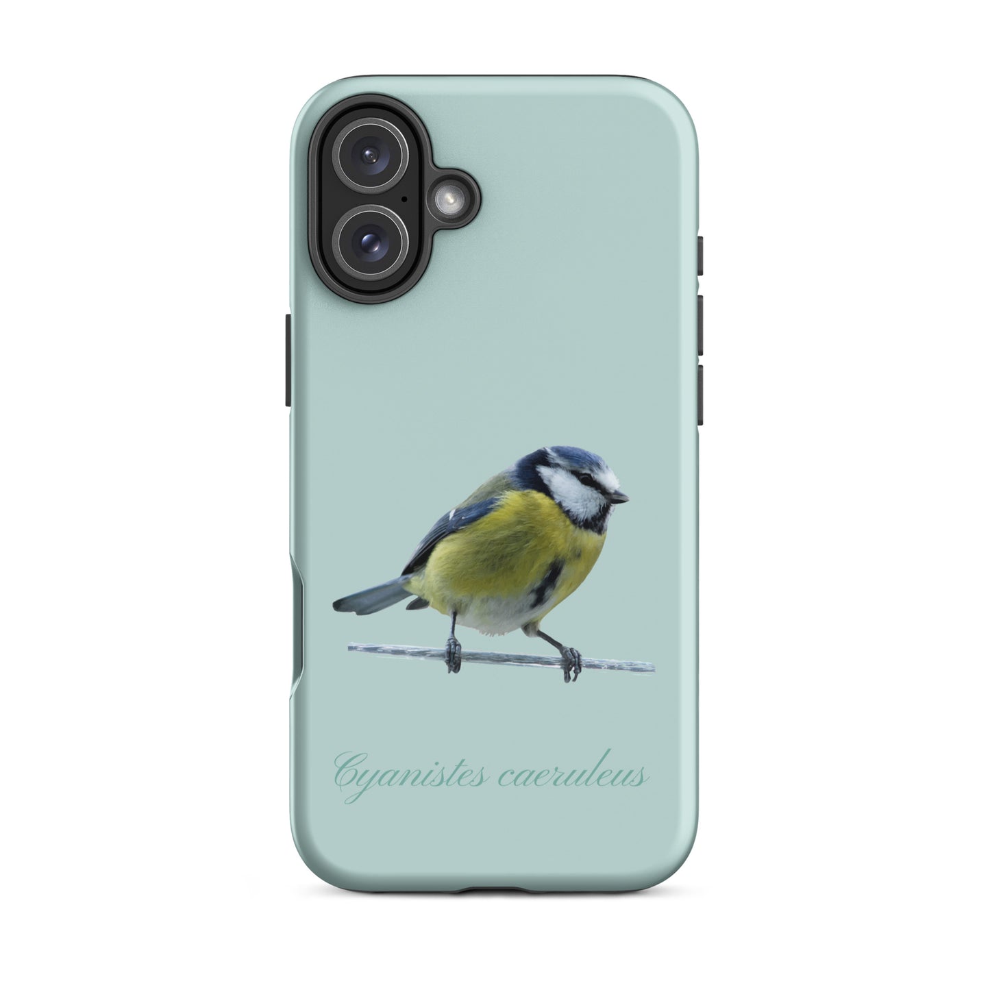 Schutzhülle für Apple iPhone: iPhone Case - Blaumeise - Hellblau