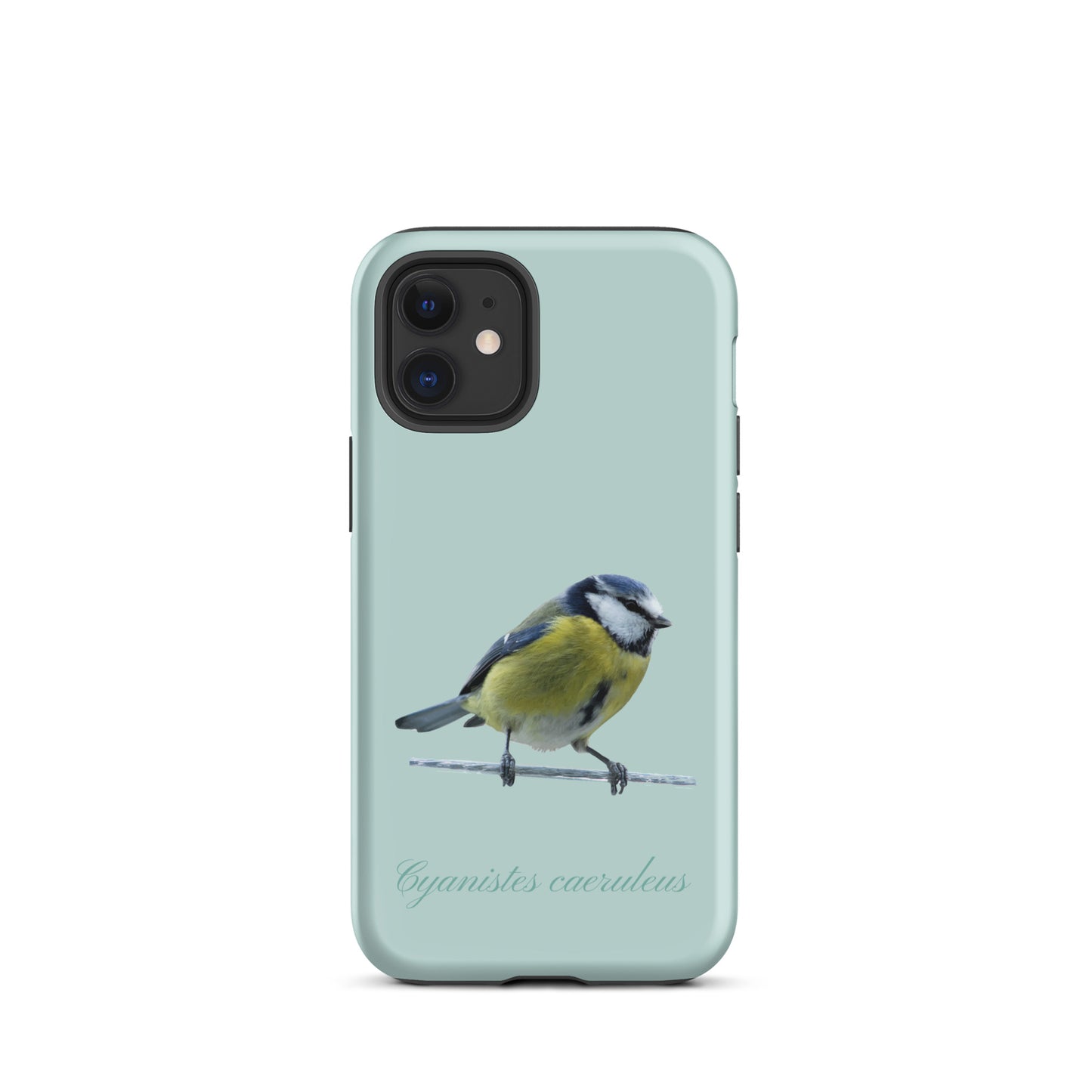 Schutzhülle für Apple iPhone: iPhone Case - Blaumeise - Hellblau