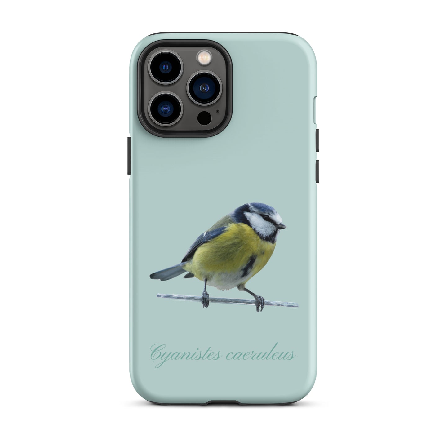 Schutzhülle für Apple iPhone: iPhone Case - Blaumeise - Hellblau