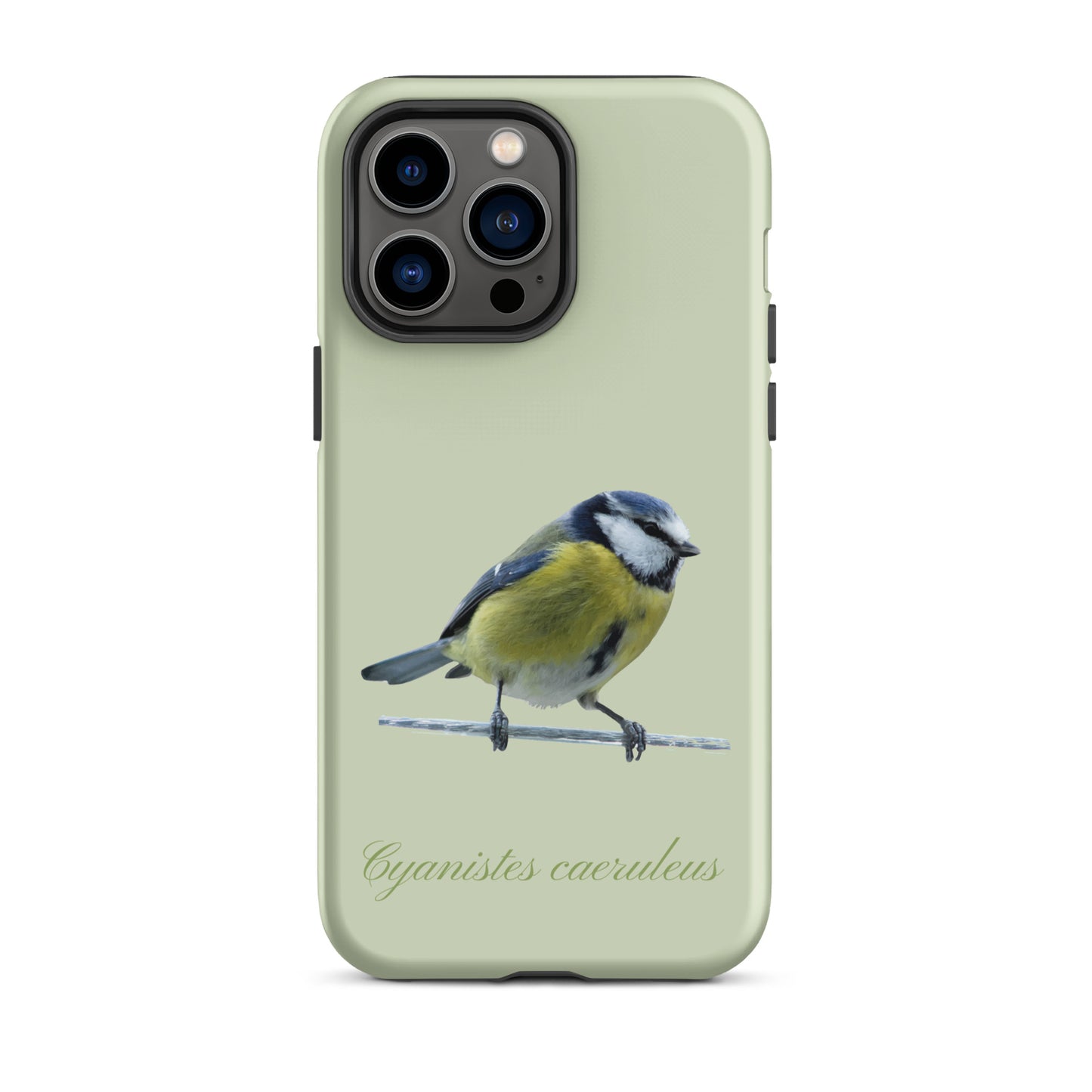 Schutzhülle für Apple iPhone: iPhone Case - Blaumeise - Hellgrün