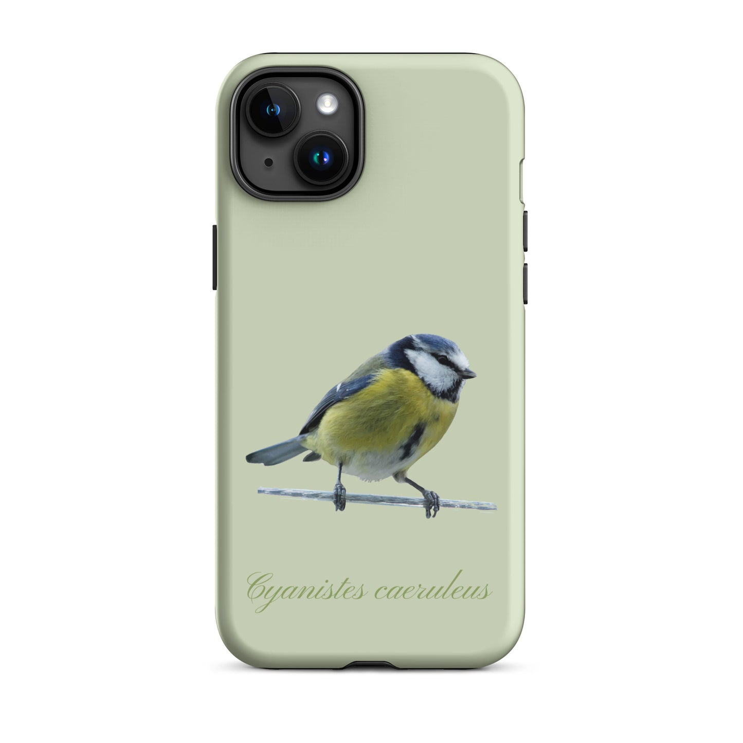 Schutzhülle für Apple iPhone: iPhone Case - Blaumeise - Hellgrün