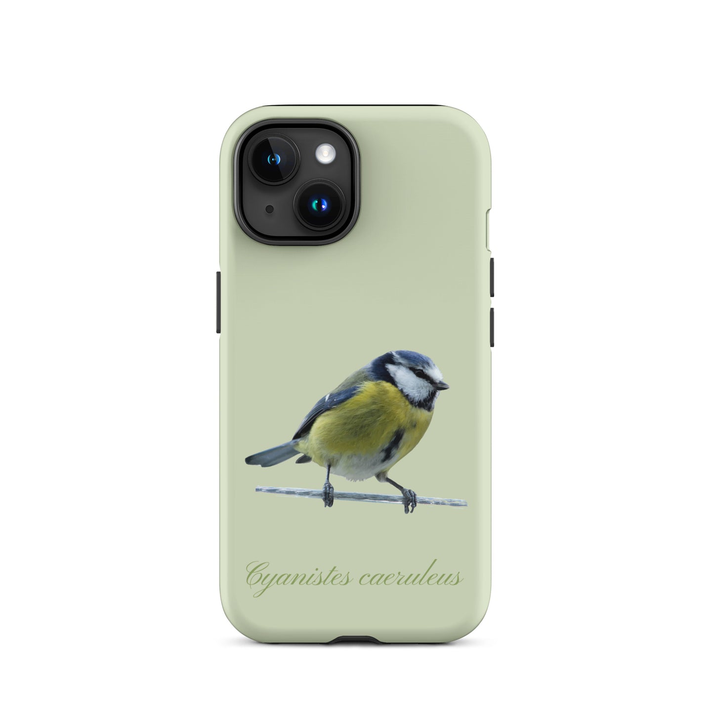 Schutzhülle für Apple iPhone: iPhone Case - Blaumeise - Hellgrün
