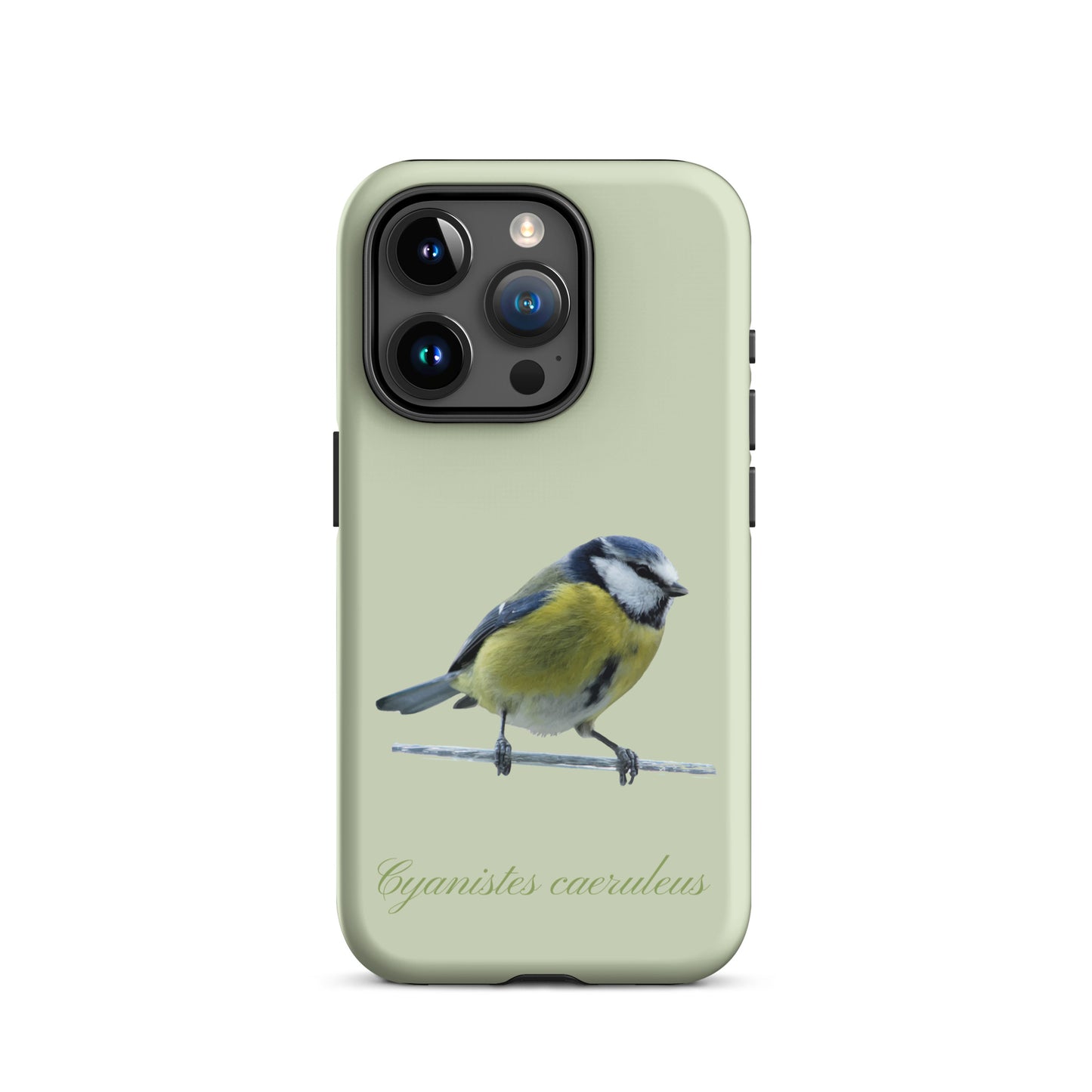 Schutzhülle für Apple iPhone: iPhone Case - Blaumeise - Hellgrün