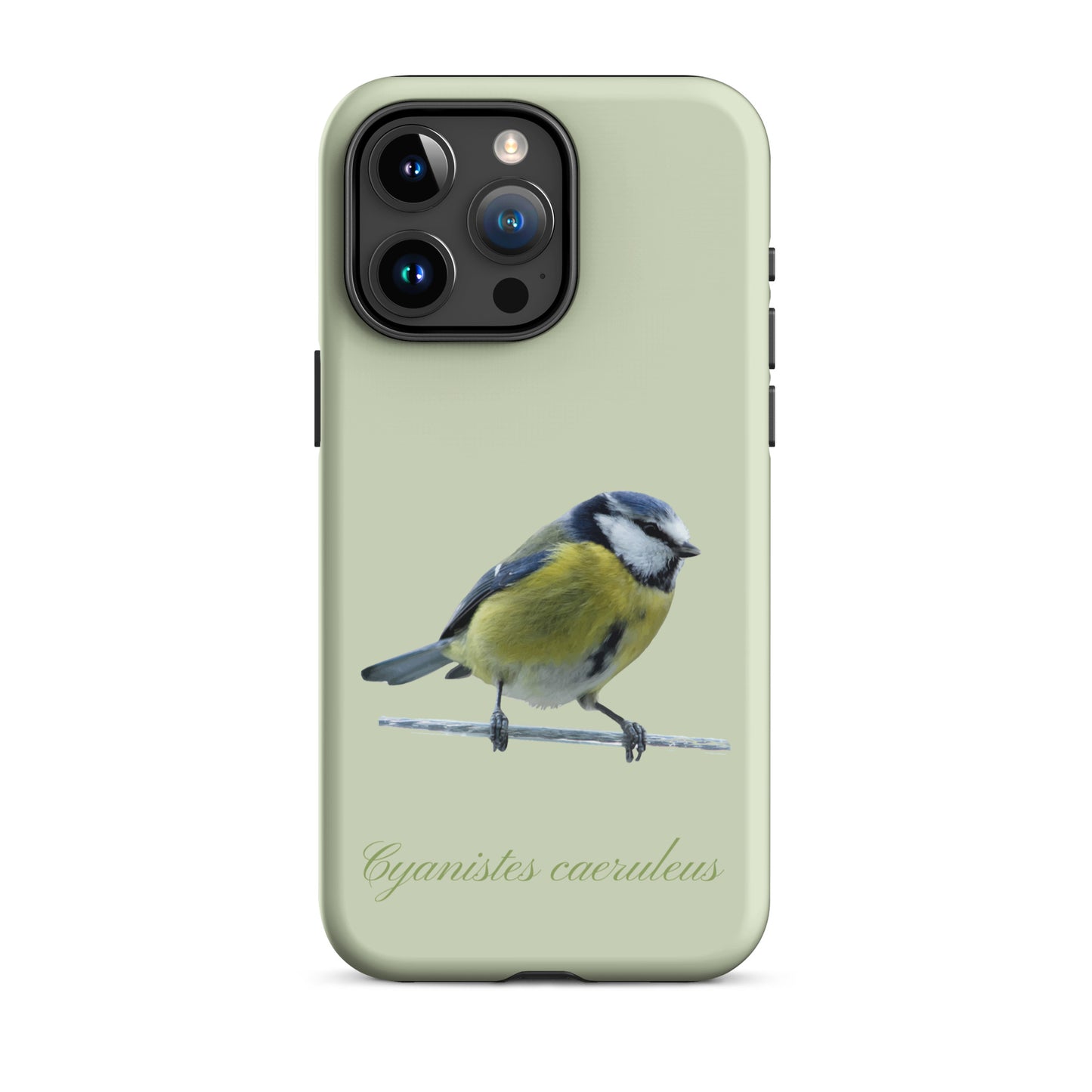 Schutzhülle für Apple iPhone: iPhone Case - Blaumeise - Hellgrün