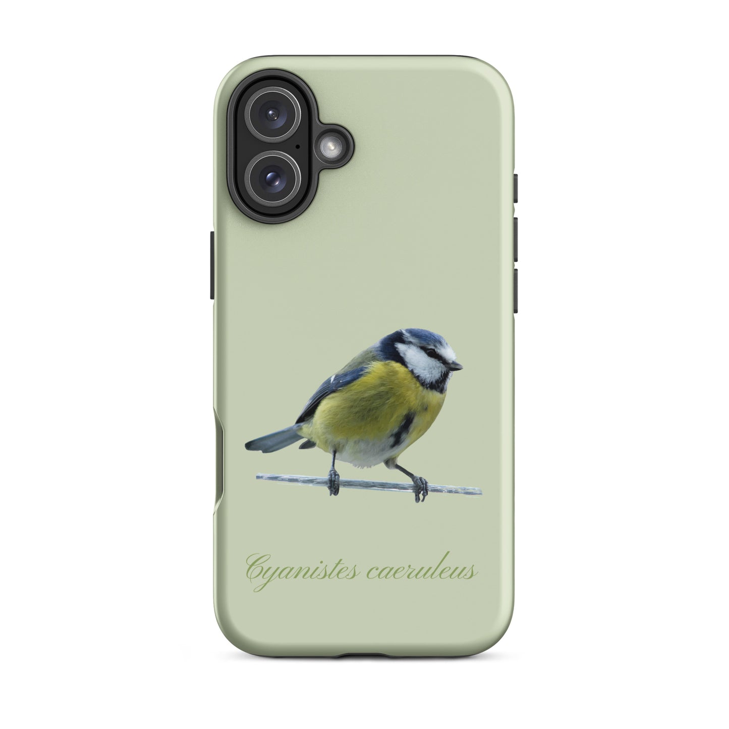 Schutzhülle für Apple iPhone: iPhone Case - Blaumeise - Hellgrün