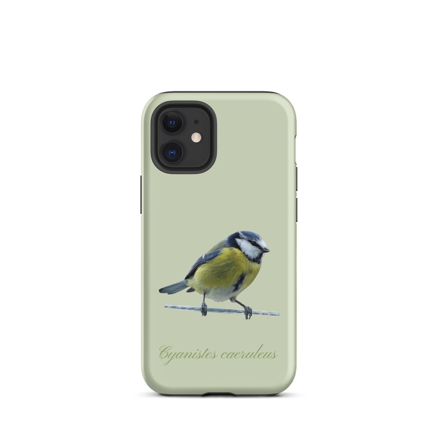 Schutzhülle für Apple iPhone: iPhone Case - Blaumeise - Hellgrün