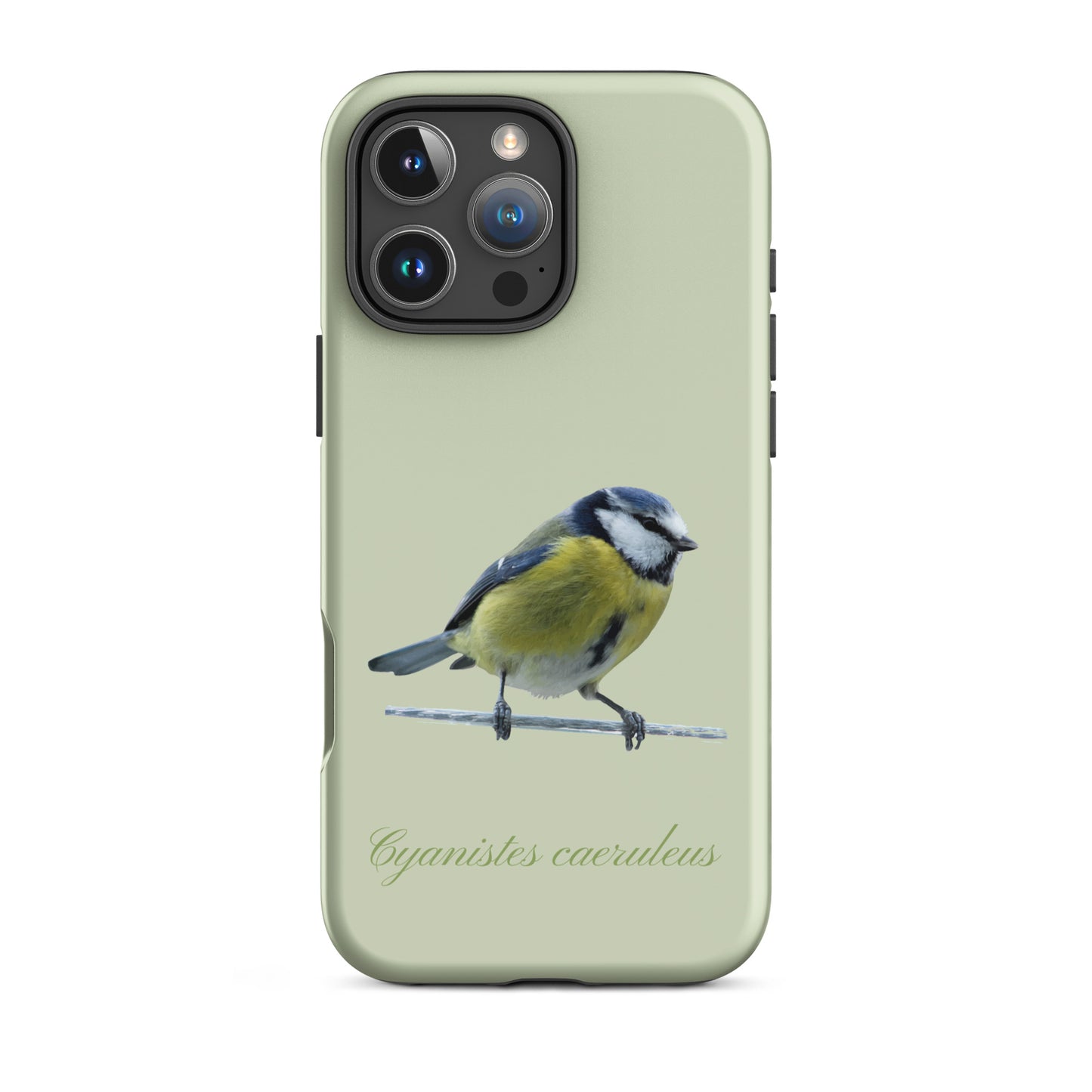 Schutzhülle für Apple iPhone: iPhone Case - Blaumeise - Hellgrün