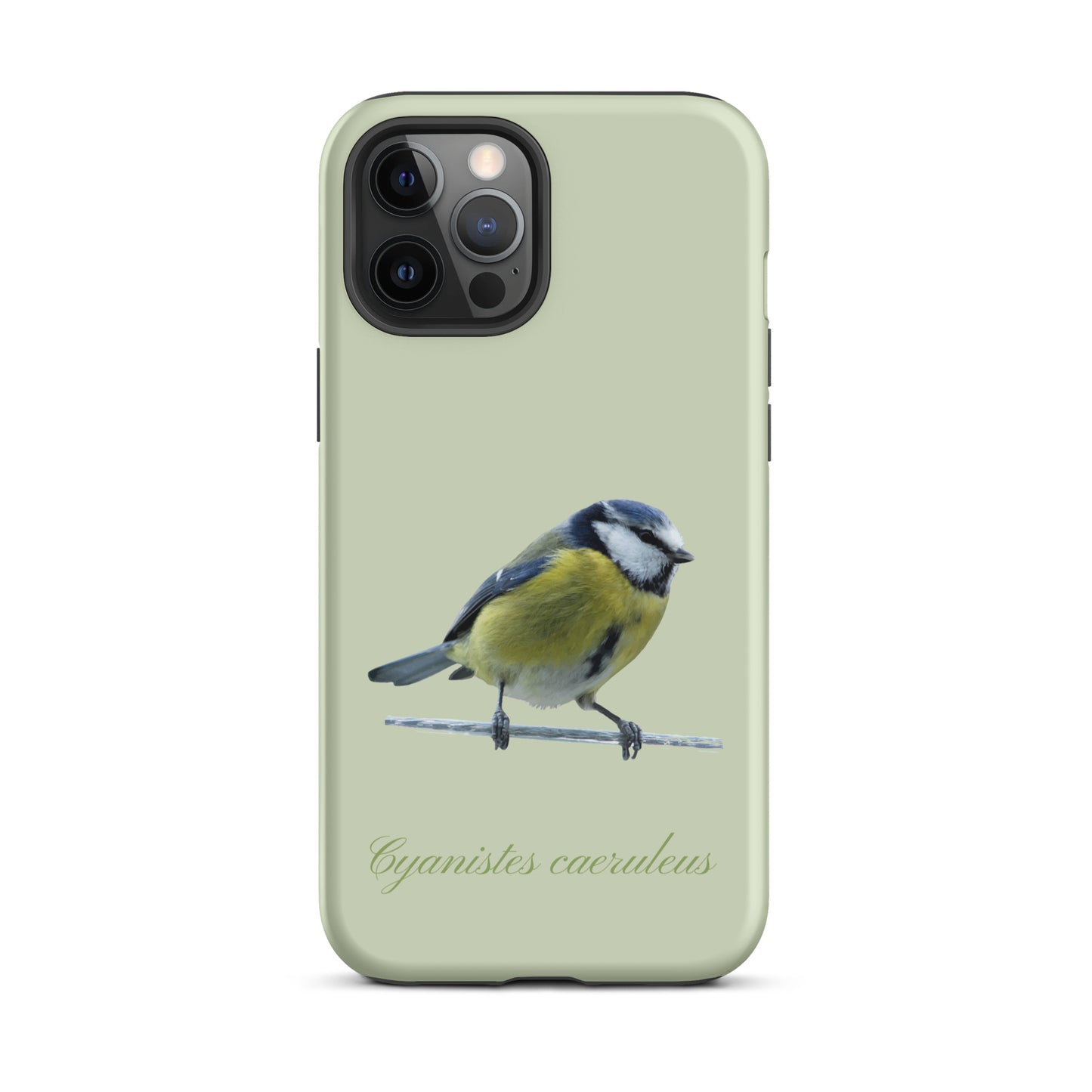 Schutzhülle für Apple iPhone: iPhone Case - Blaumeise - Hellgrün
