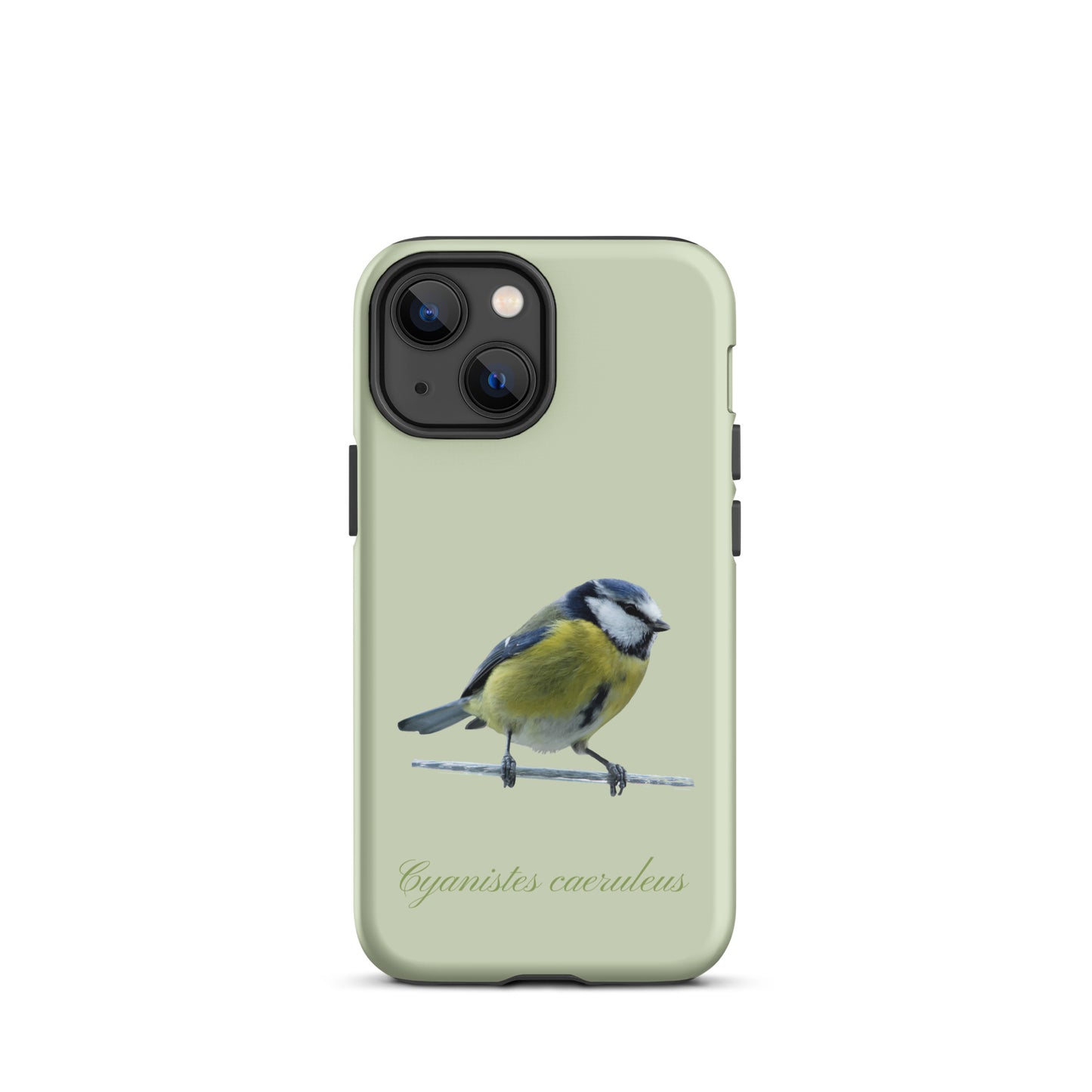 Schutzhülle für Apple iPhone: iPhone Case - Blaumeise - Hellgrün