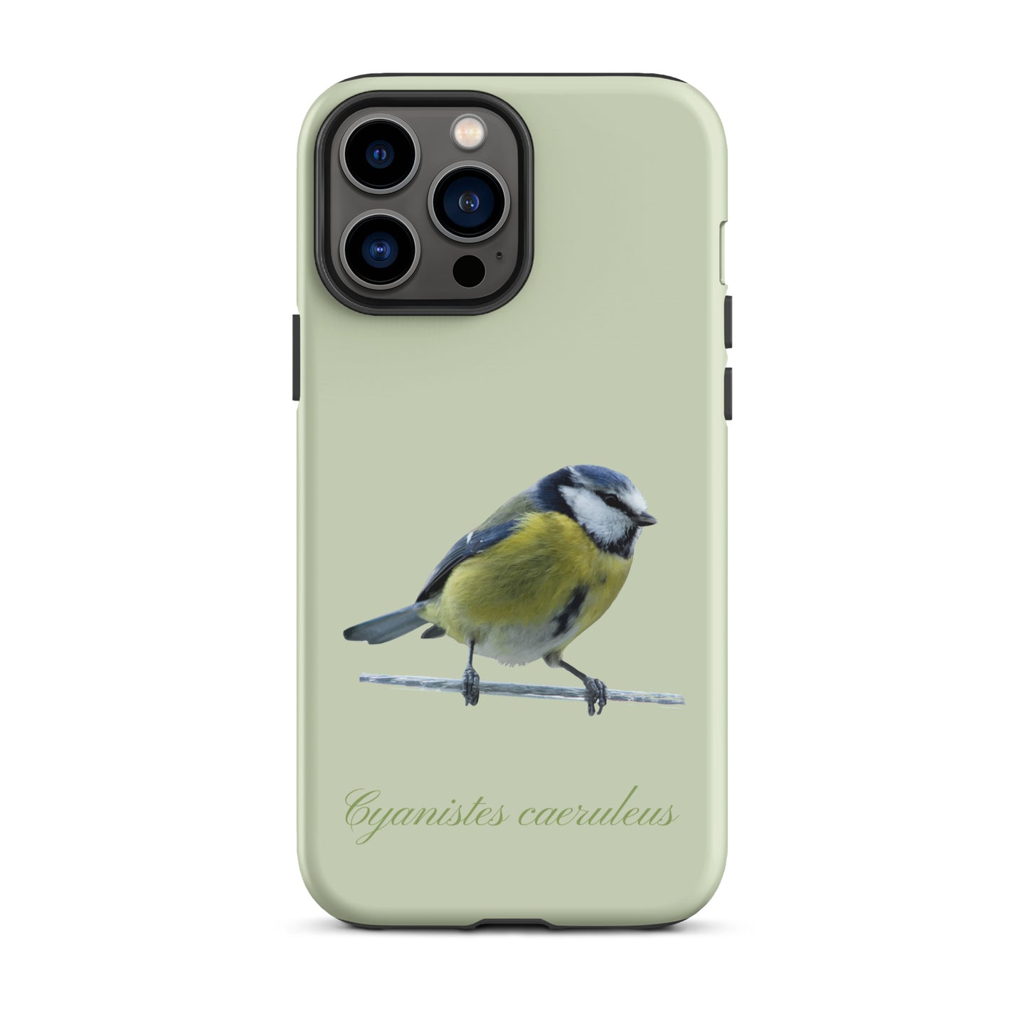 Schutzhülle für Apple iPhone: iPhone Case - Blaumeise - Hellgrün
