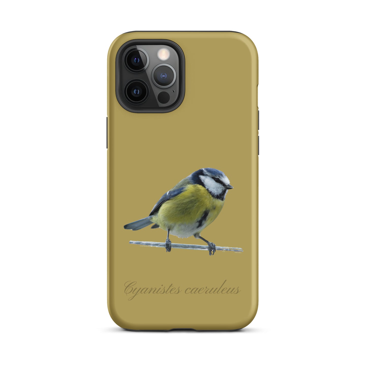Schutzhülle für Apple iPhone: iPhone Case - Blaumeise - Ockergelb
