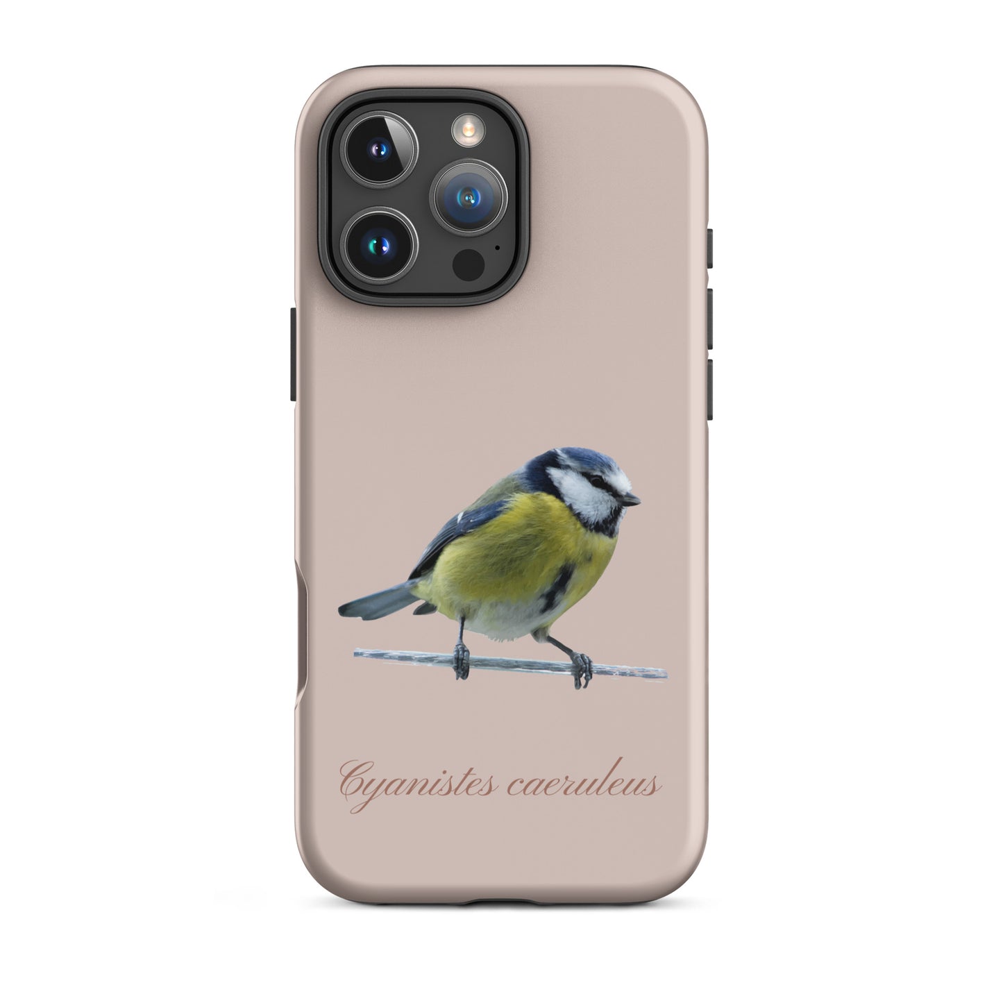 Schutzhülle für Apple iPhone: iPhone Case - Blaumeise - Rosa