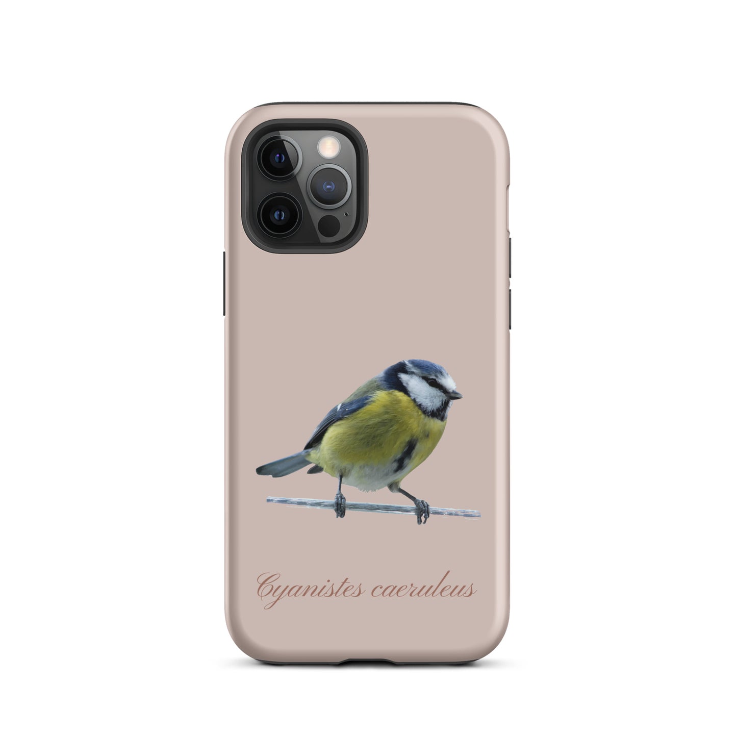 Schutzhülle für Apple iPhone: iPhone Case - Blaumeise - Rosa
