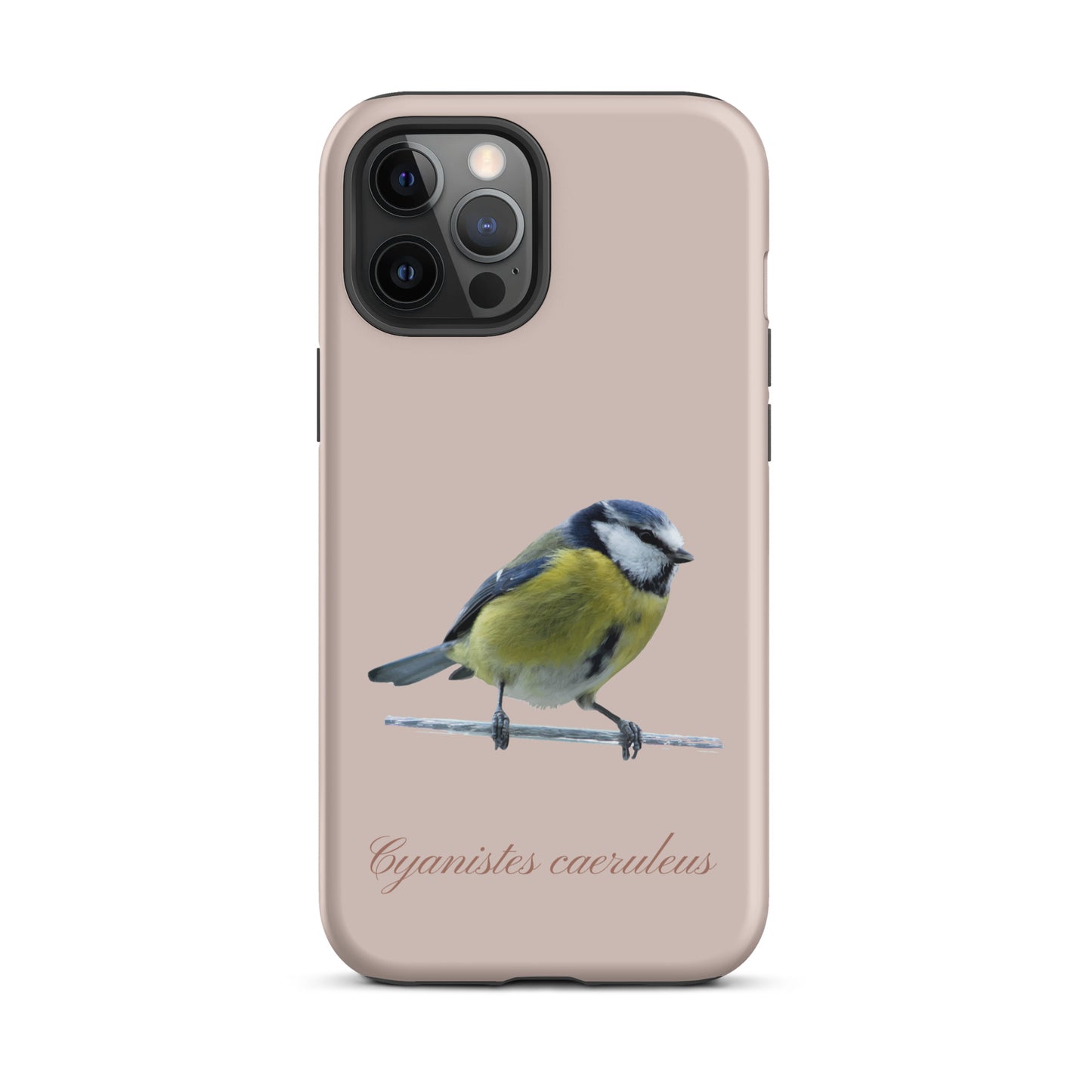 Schutzhülle für Apple iPhone: iPhone Case - Blaumeise - Rosa