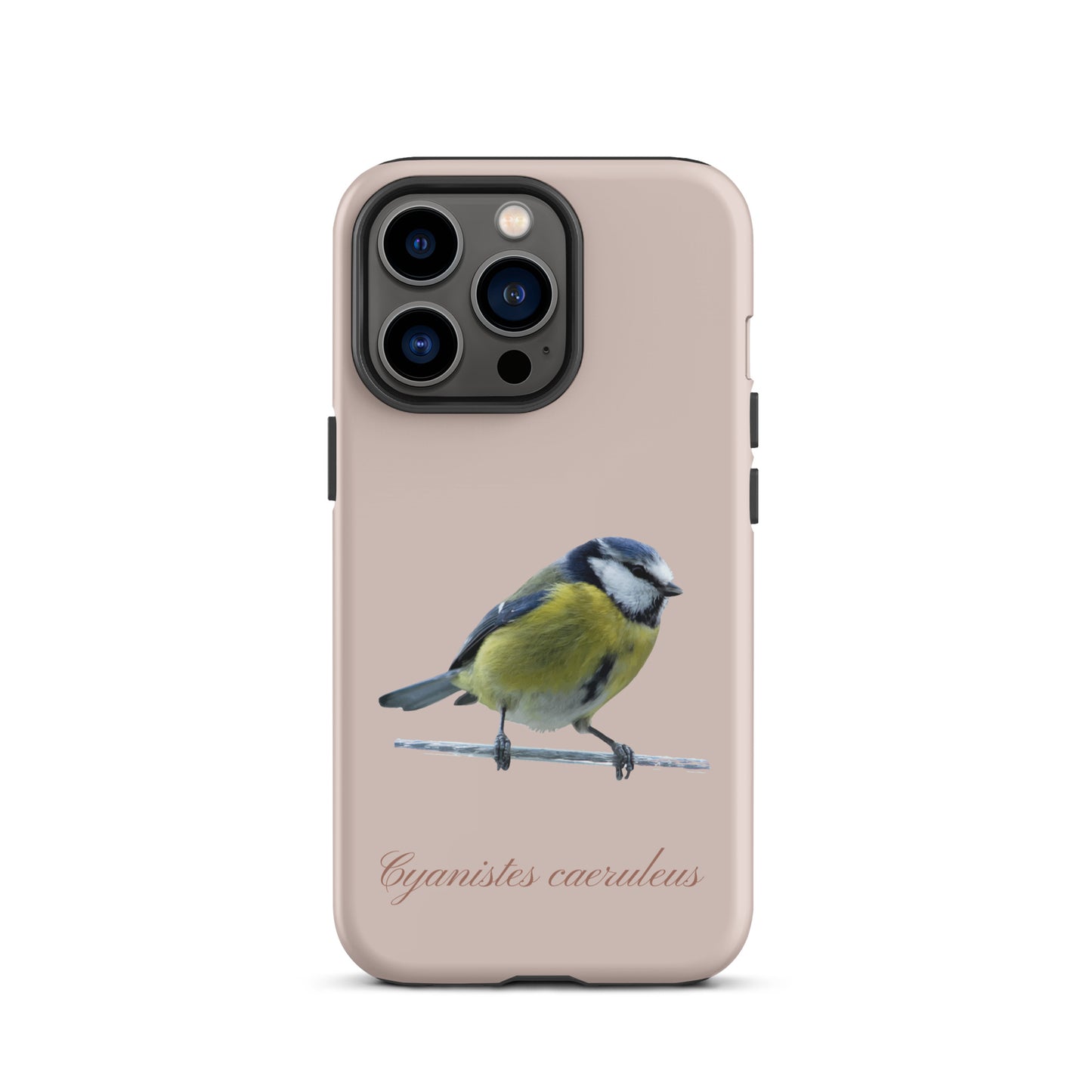 Schutzhülle für Apple iPhone: iPhone Case - Blaumeise - Rosa