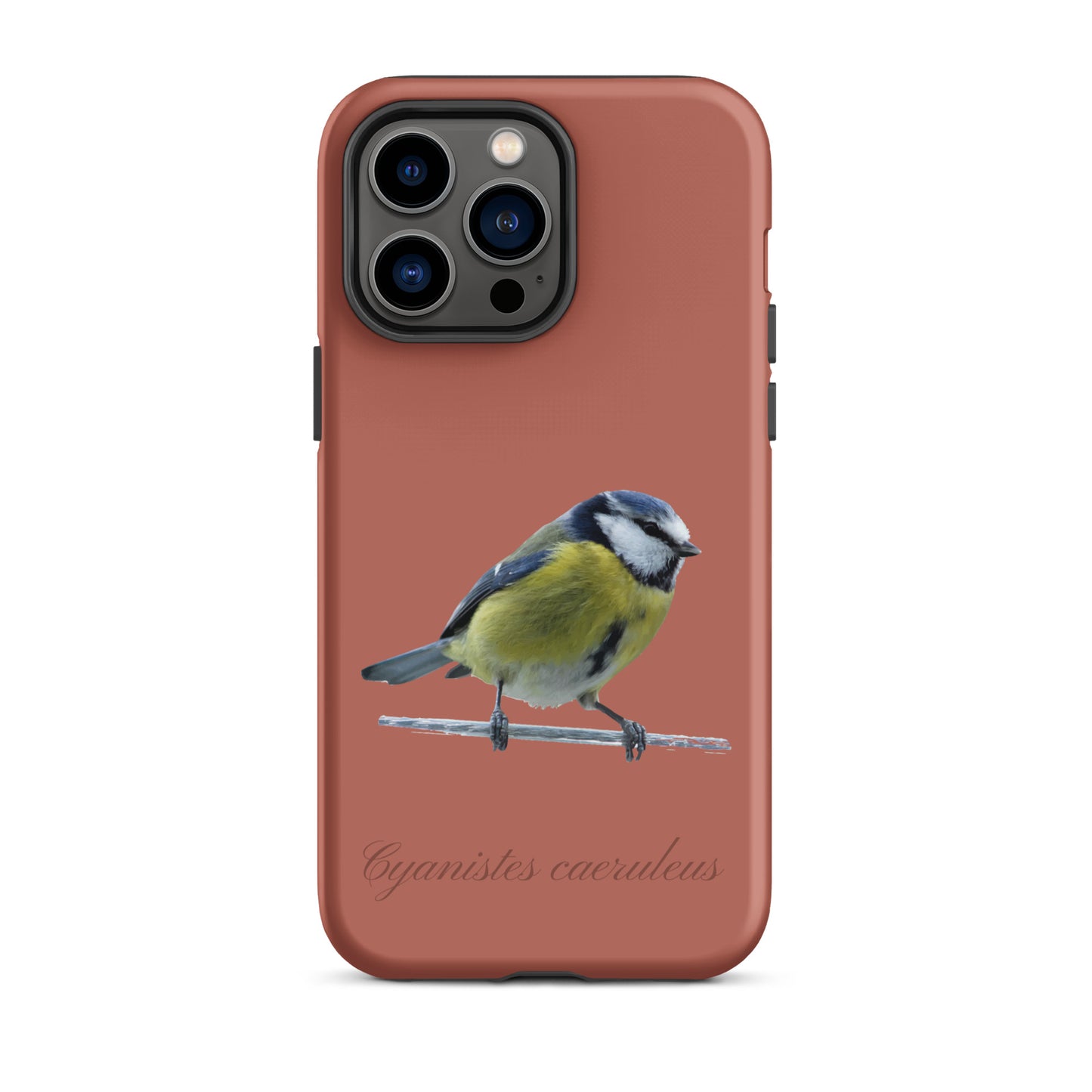 Schutzhülle für Apple iPhone: iPhone Case - Blaumeise - Ziegelrot