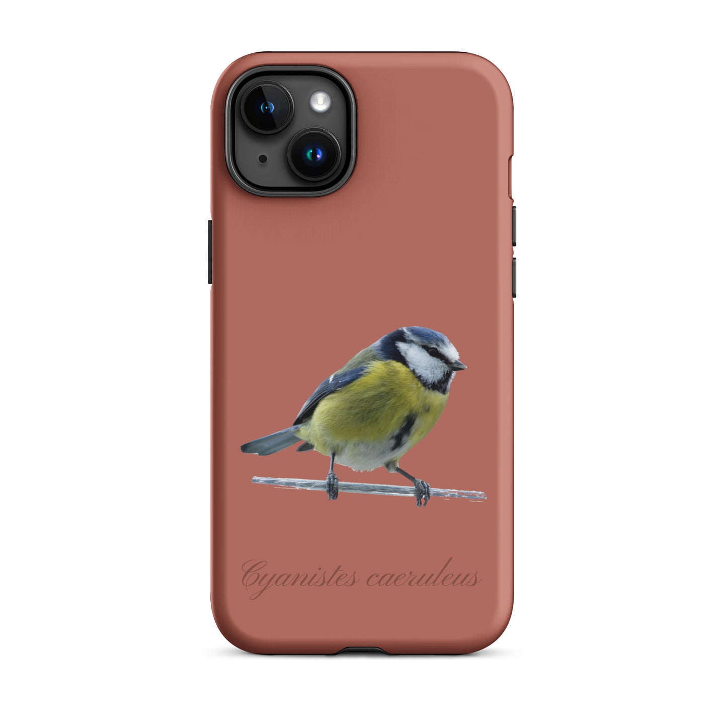 Schutzhülle für Apple iPhone: iPhone Case - Blaumeise - Ziegelrot