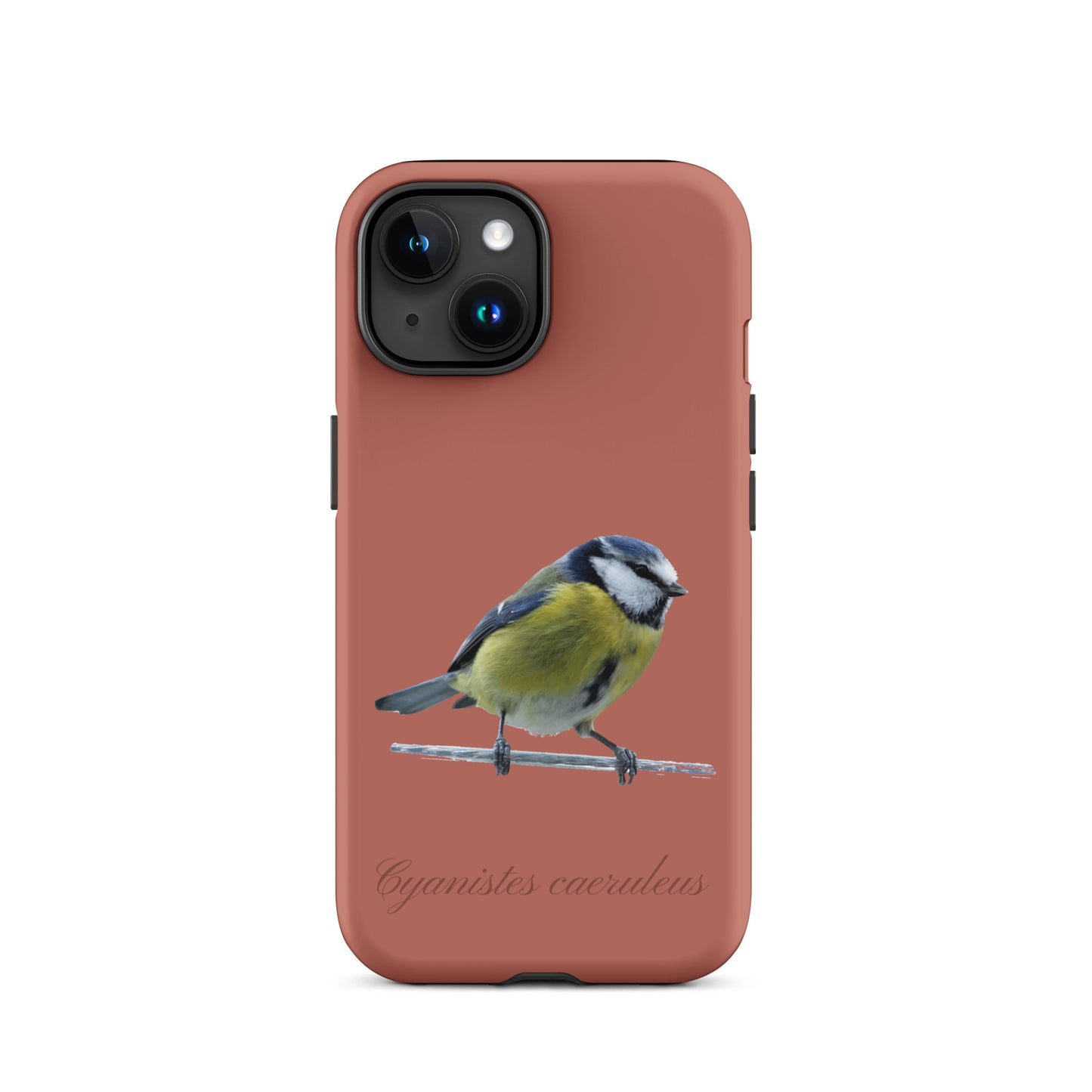 Schutzhülle für Apple iPhone: iPhone Case - Blaumeise - Ziegelrot
