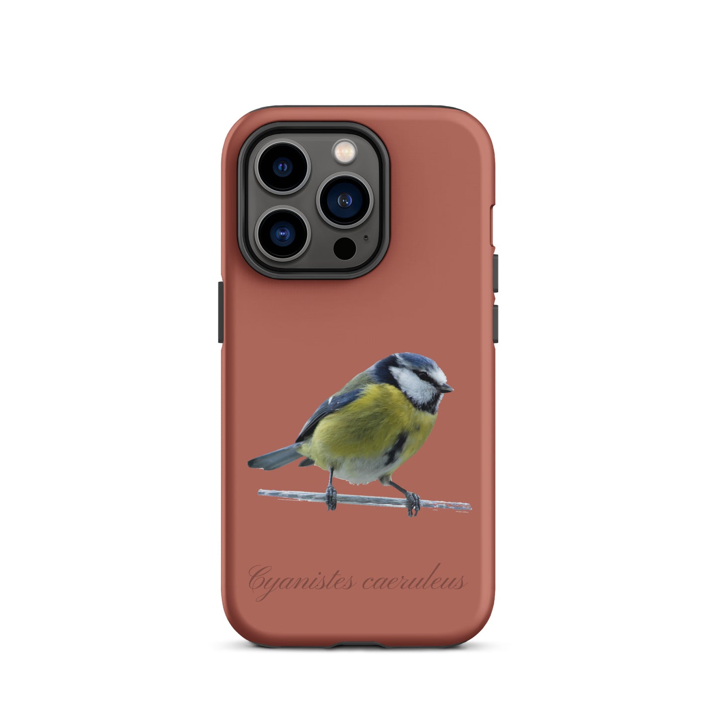Schutzhülle für Apple iPhone: iPhone Case - Blaumeise - Ziegelrot