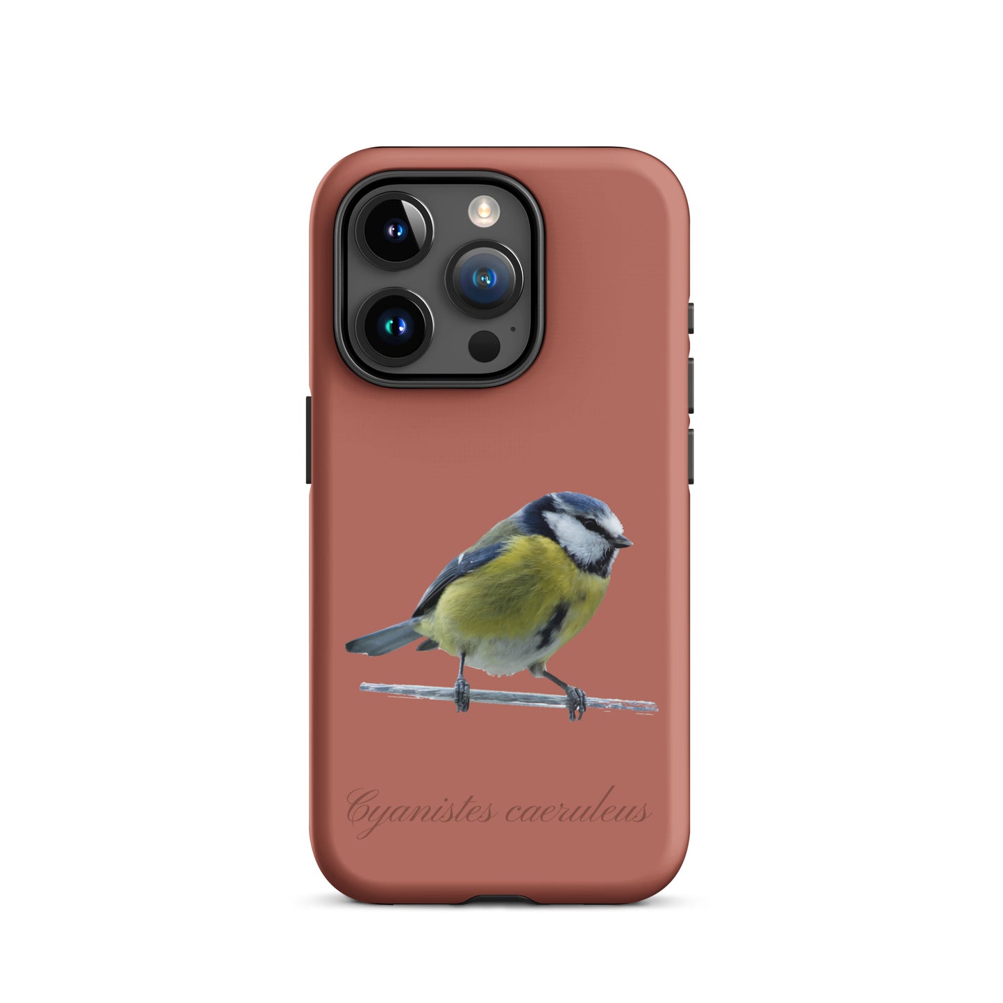 Schutzhülle für Apple iPhone: iPhone Case - Blaumeise - Ziegelrot
