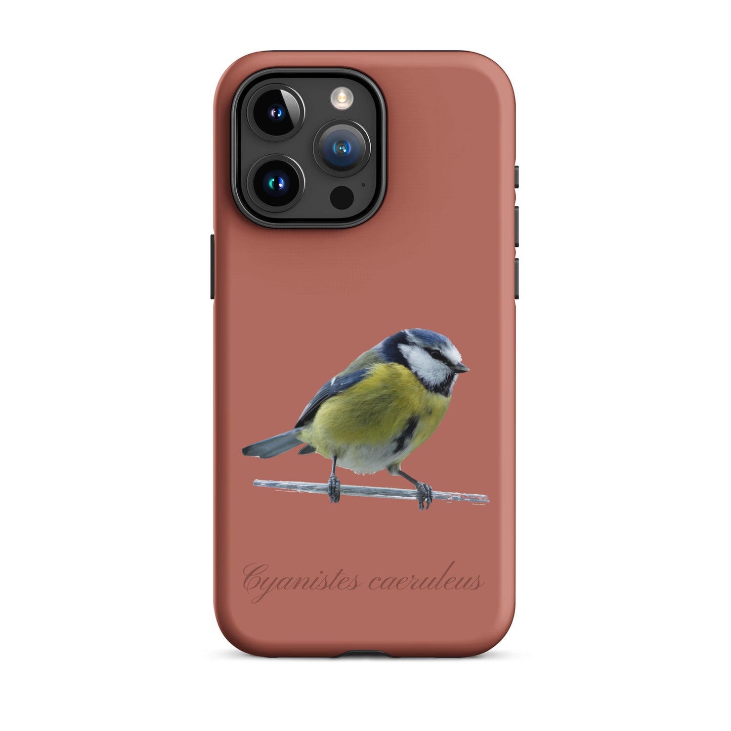 Schutzhülle für Apple iPhone: iPhone Case - Blaumeise - Ziegelrot