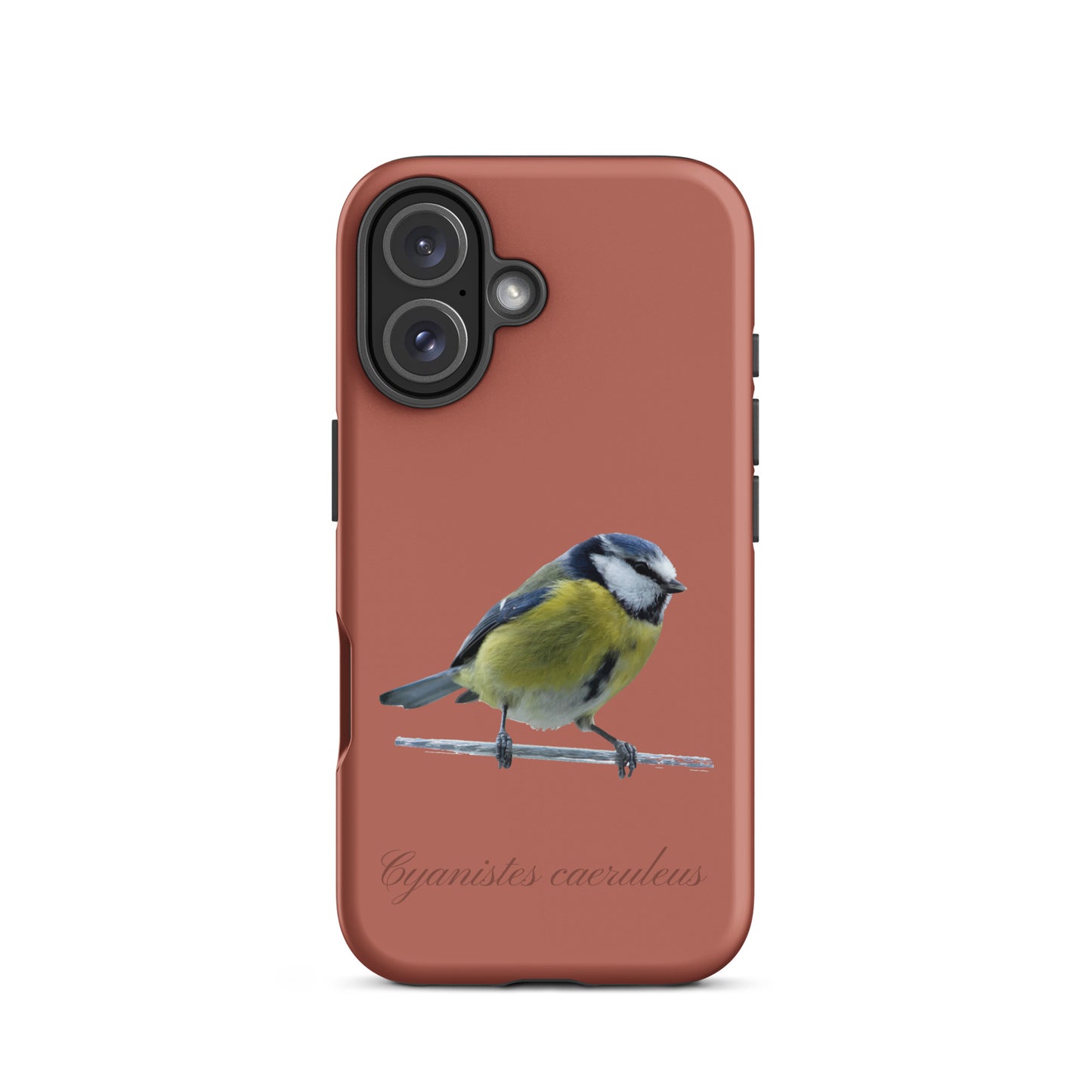 Schutzhülle für Apple iPhone: iPhone Case - Blaumeise - Ziegelrot
